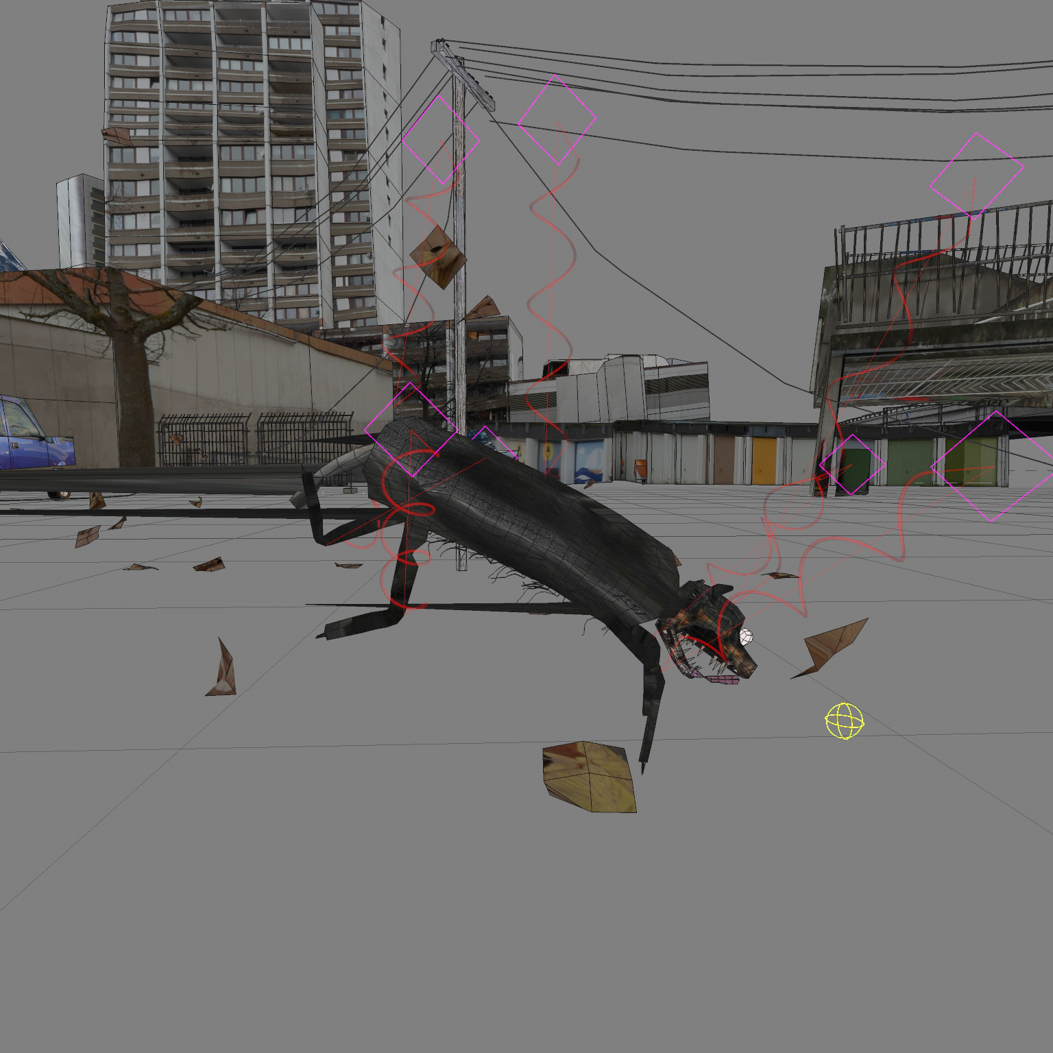 Doberman Run