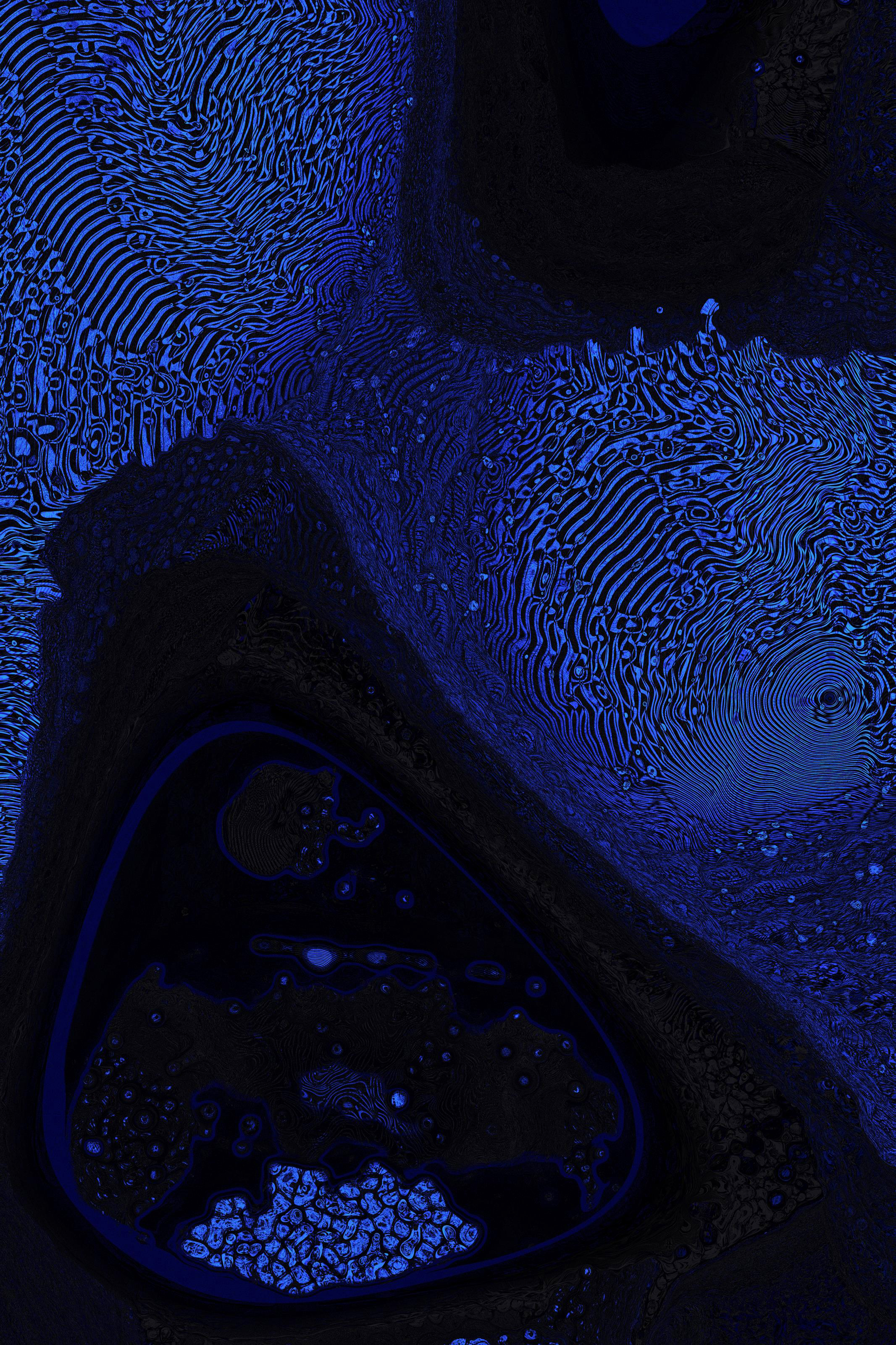 Dactylogram #35