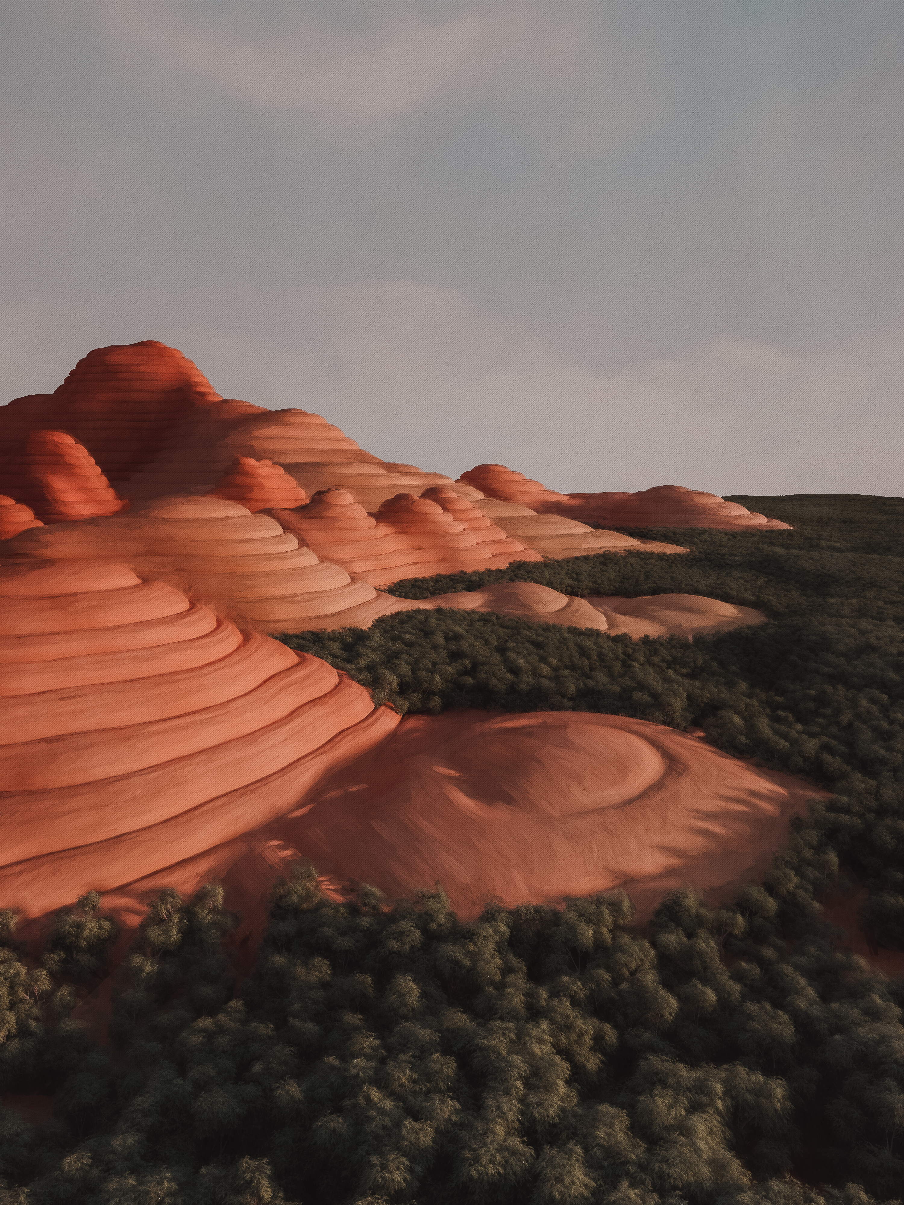 bungle bungles #3/10