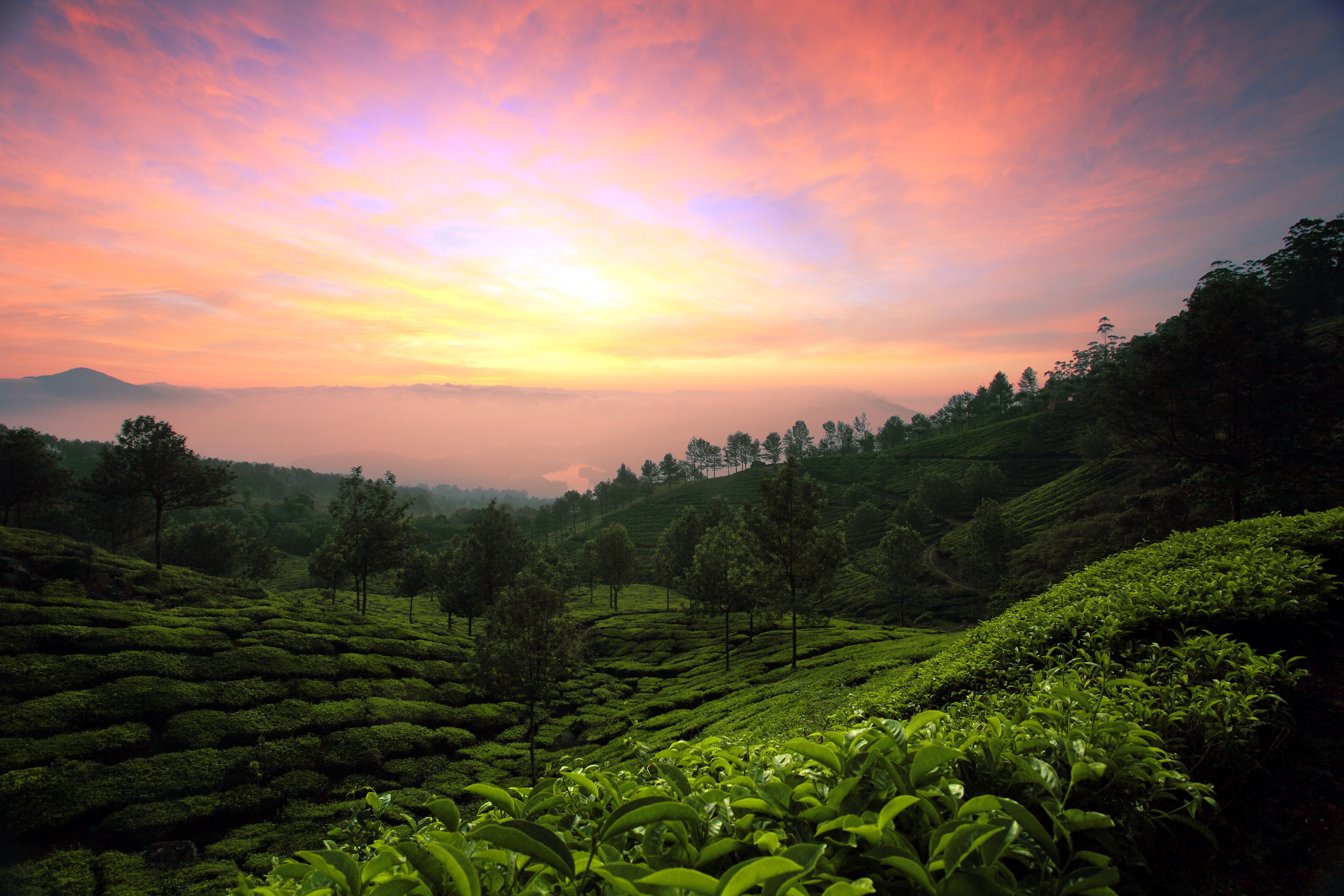 The tranquillity of dawning light