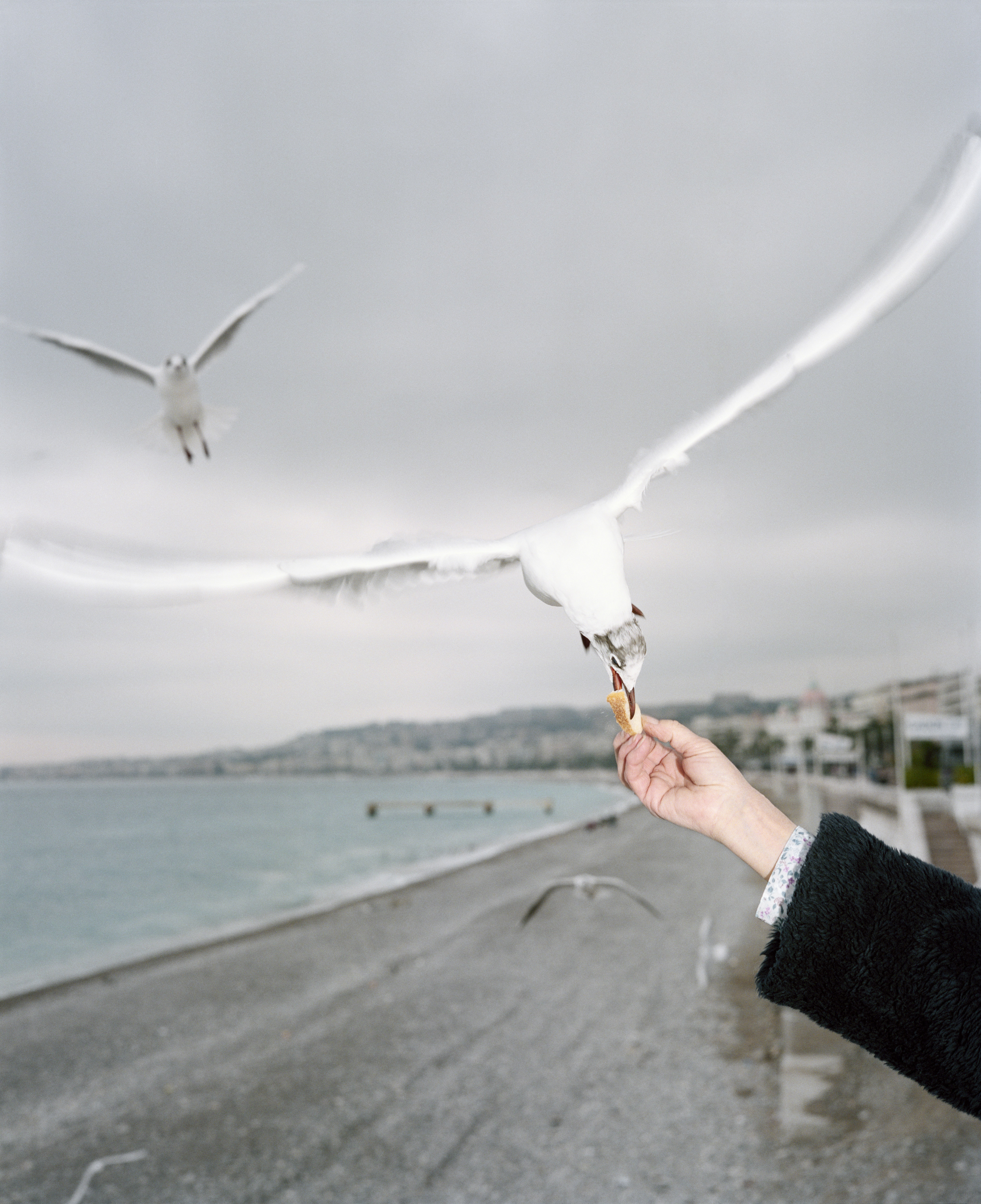 Magnum 75 #37 by Martin Parr. Nice, France. 1995