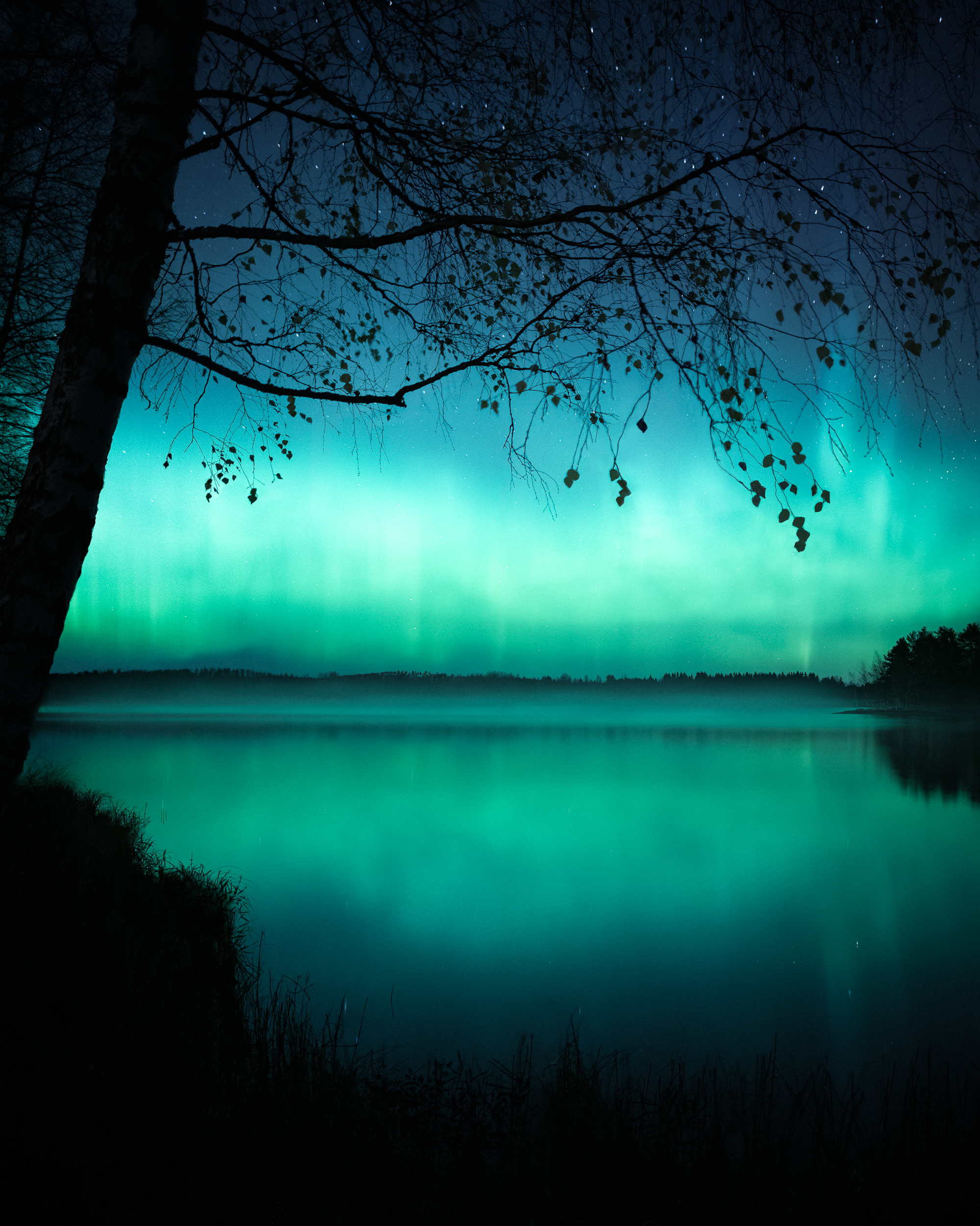 Stillness