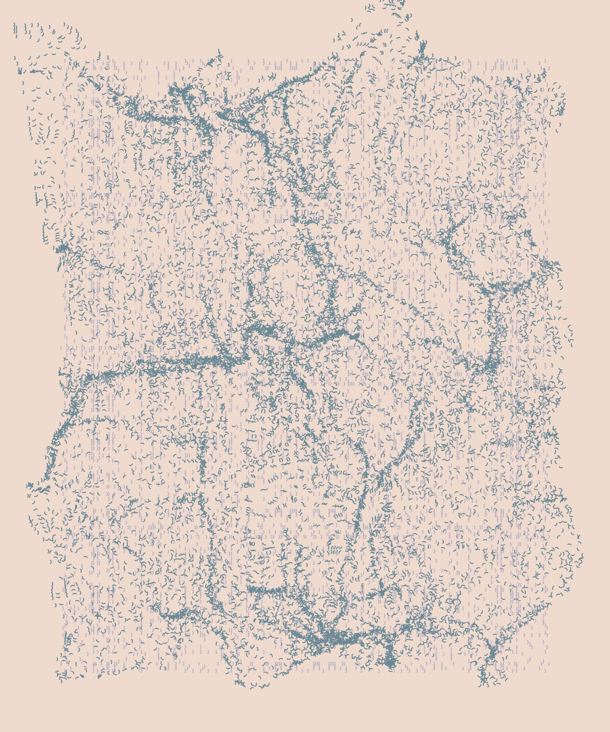 Warp #314