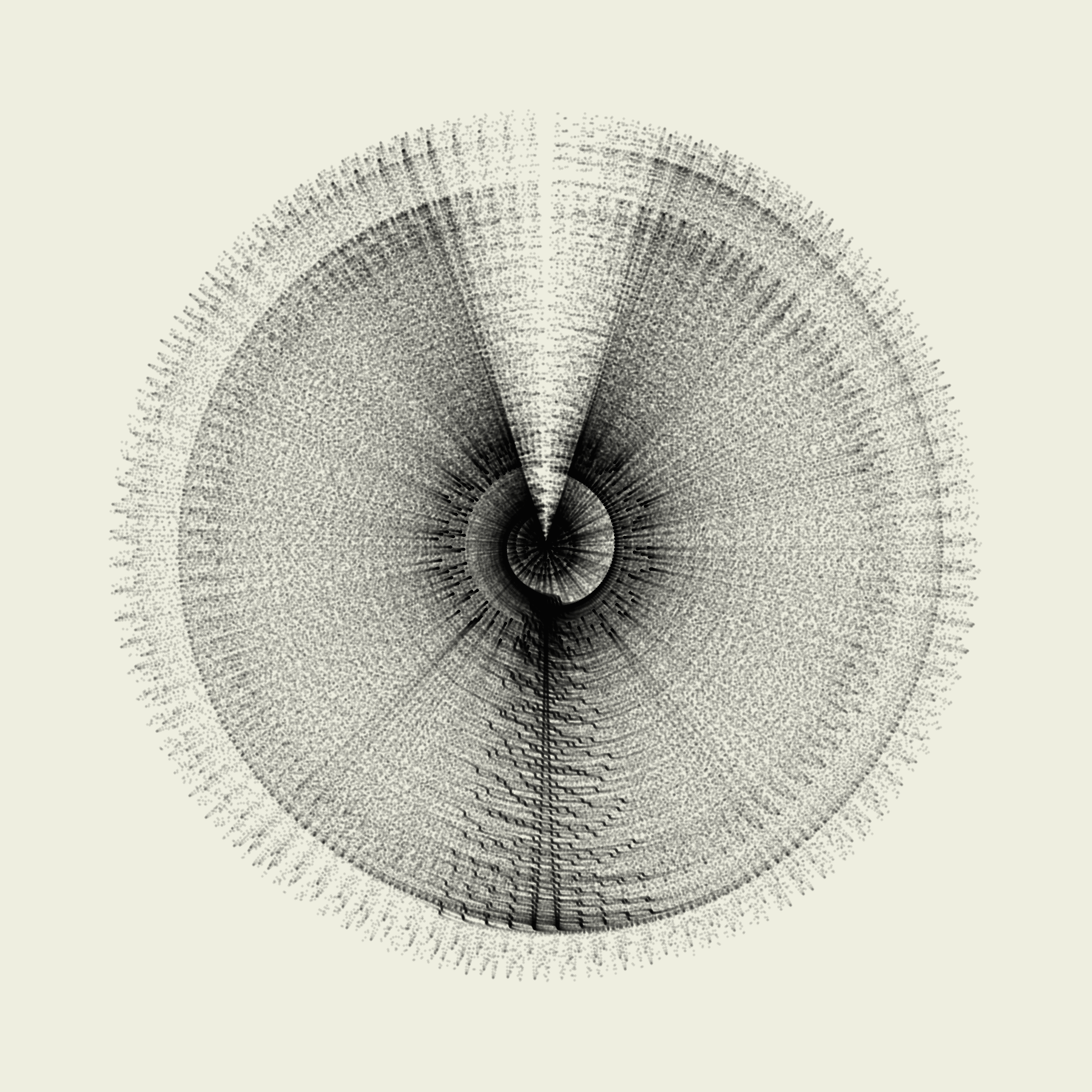 Bloom