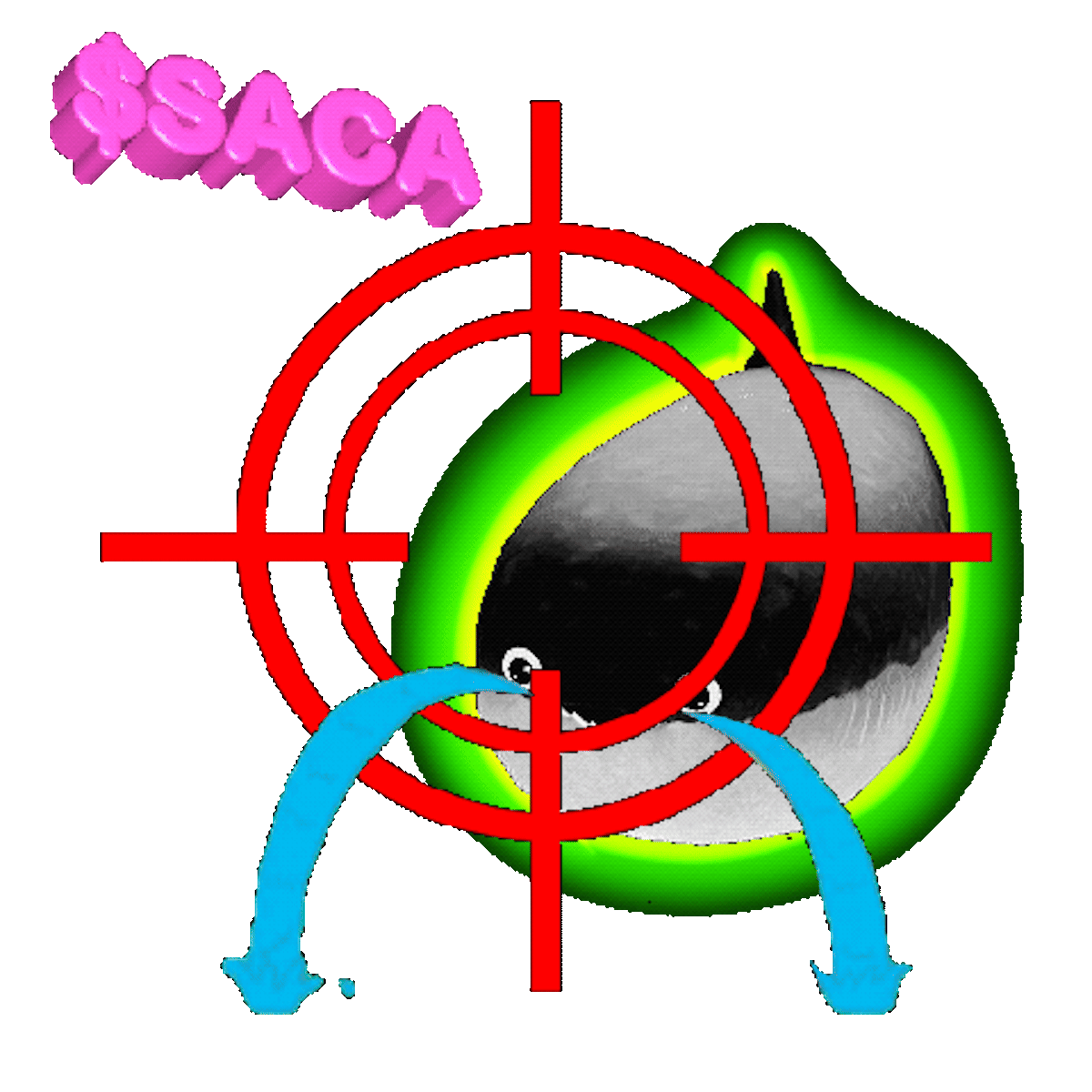 sacabambaspis #1850