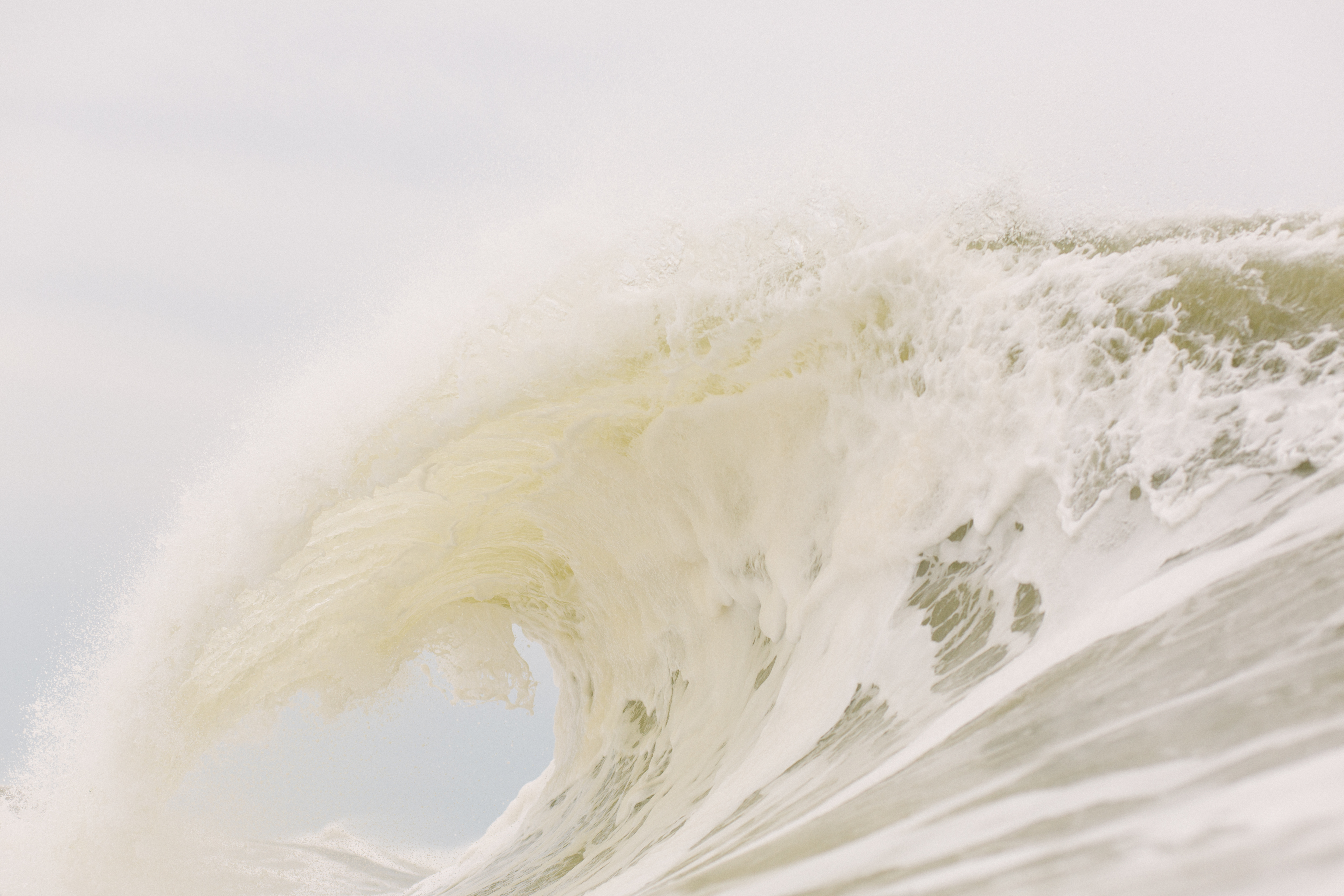 New York Froth