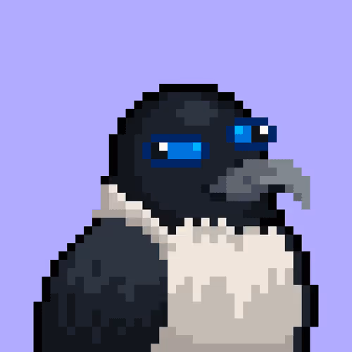 Noonbirds #1553