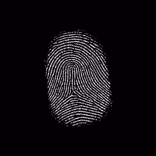 Subject 373