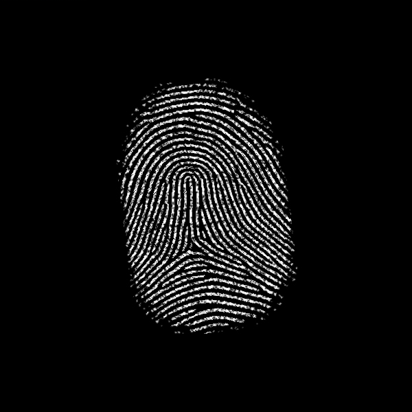 Subject 373