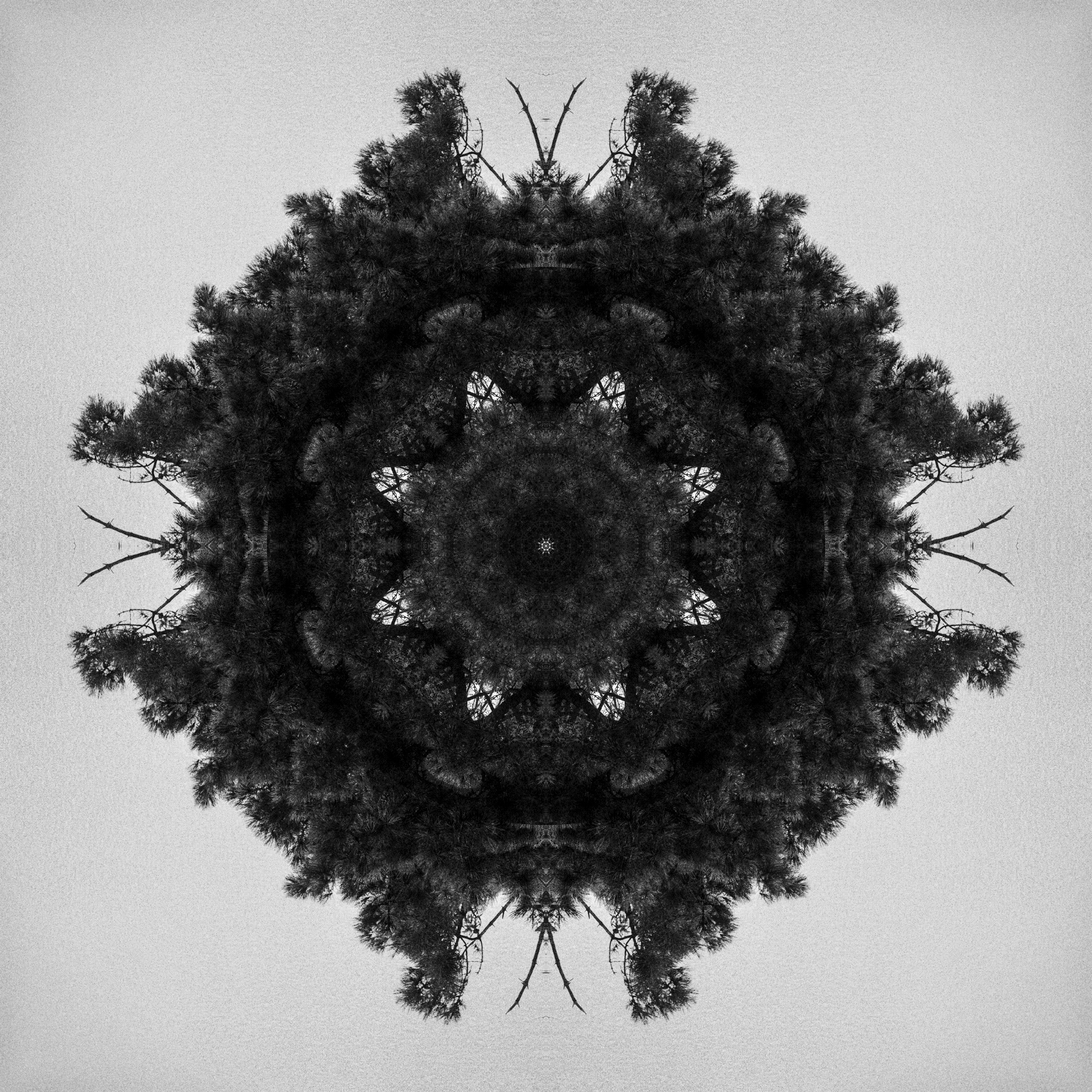 Flat Circles #1