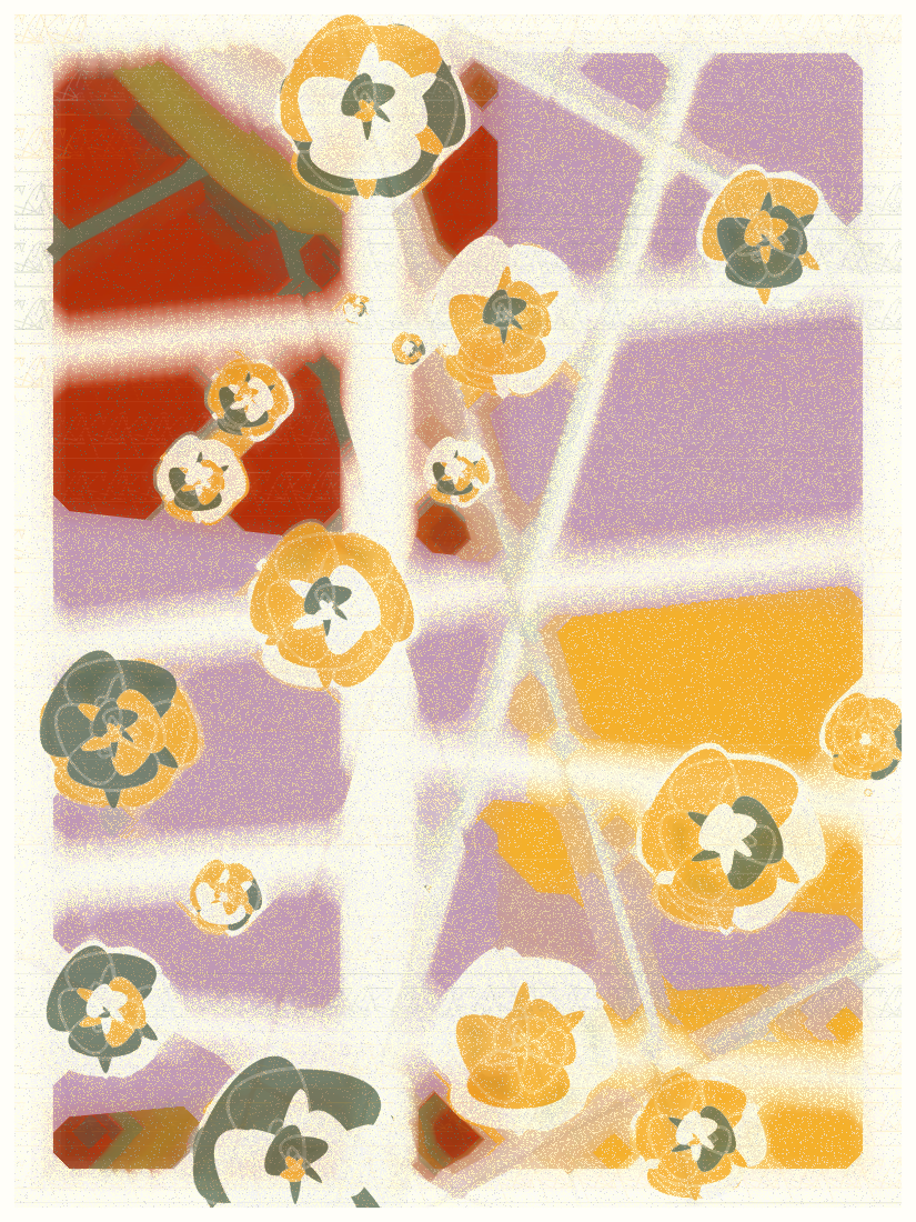 SKY MEADOW #547