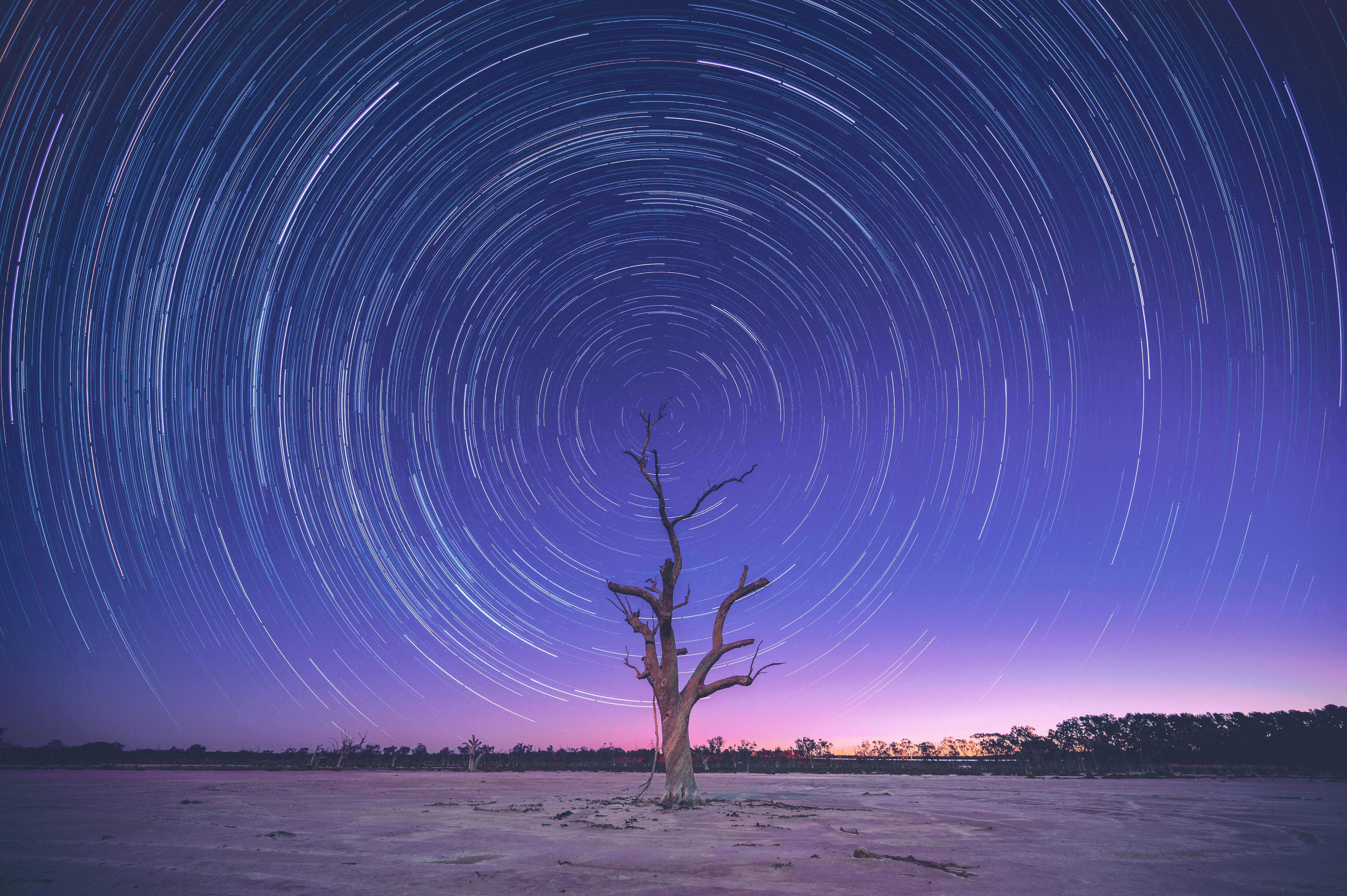 Star Trail Twilight
