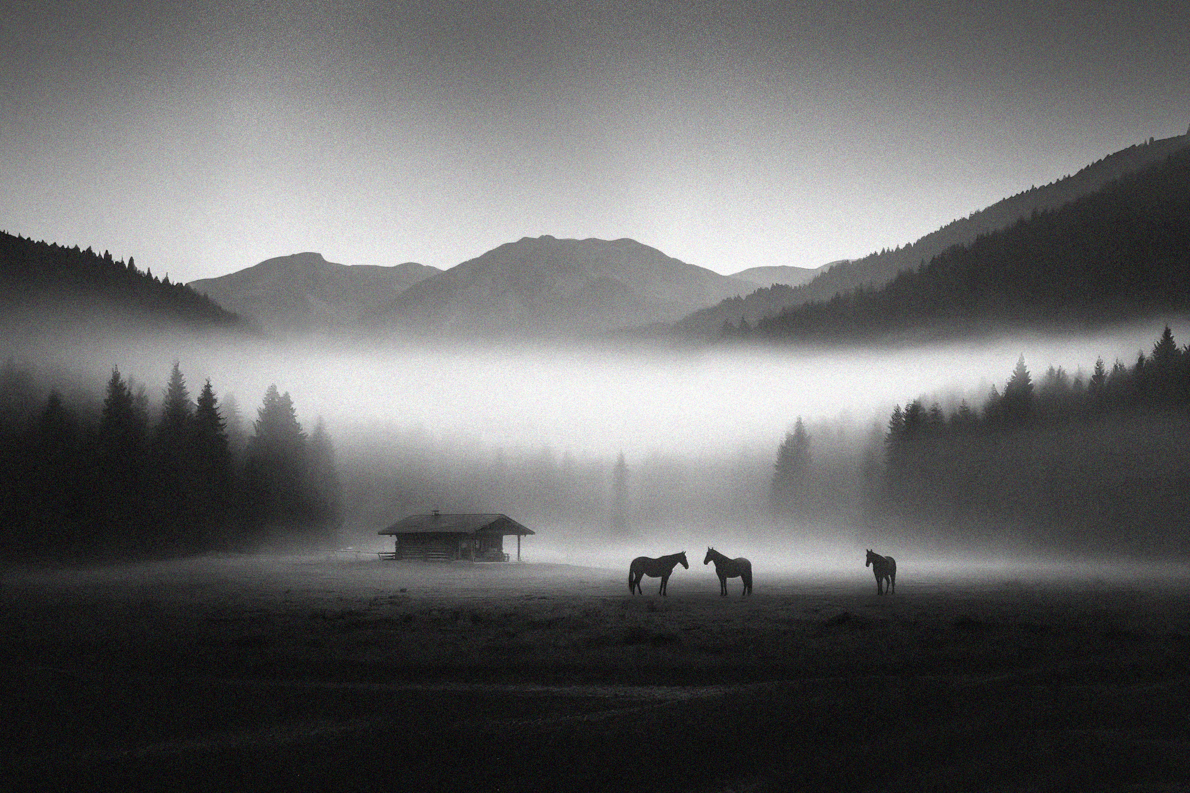 Quietness