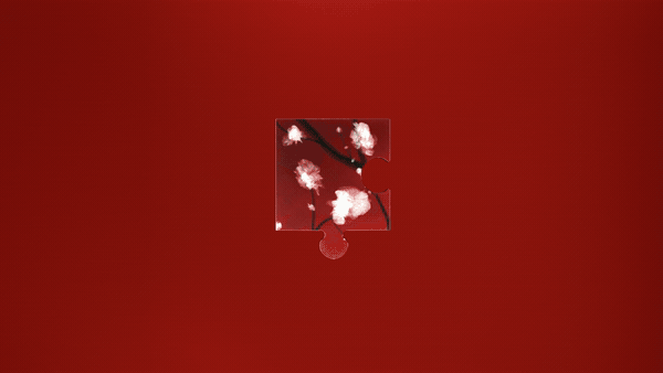 Fragment 19