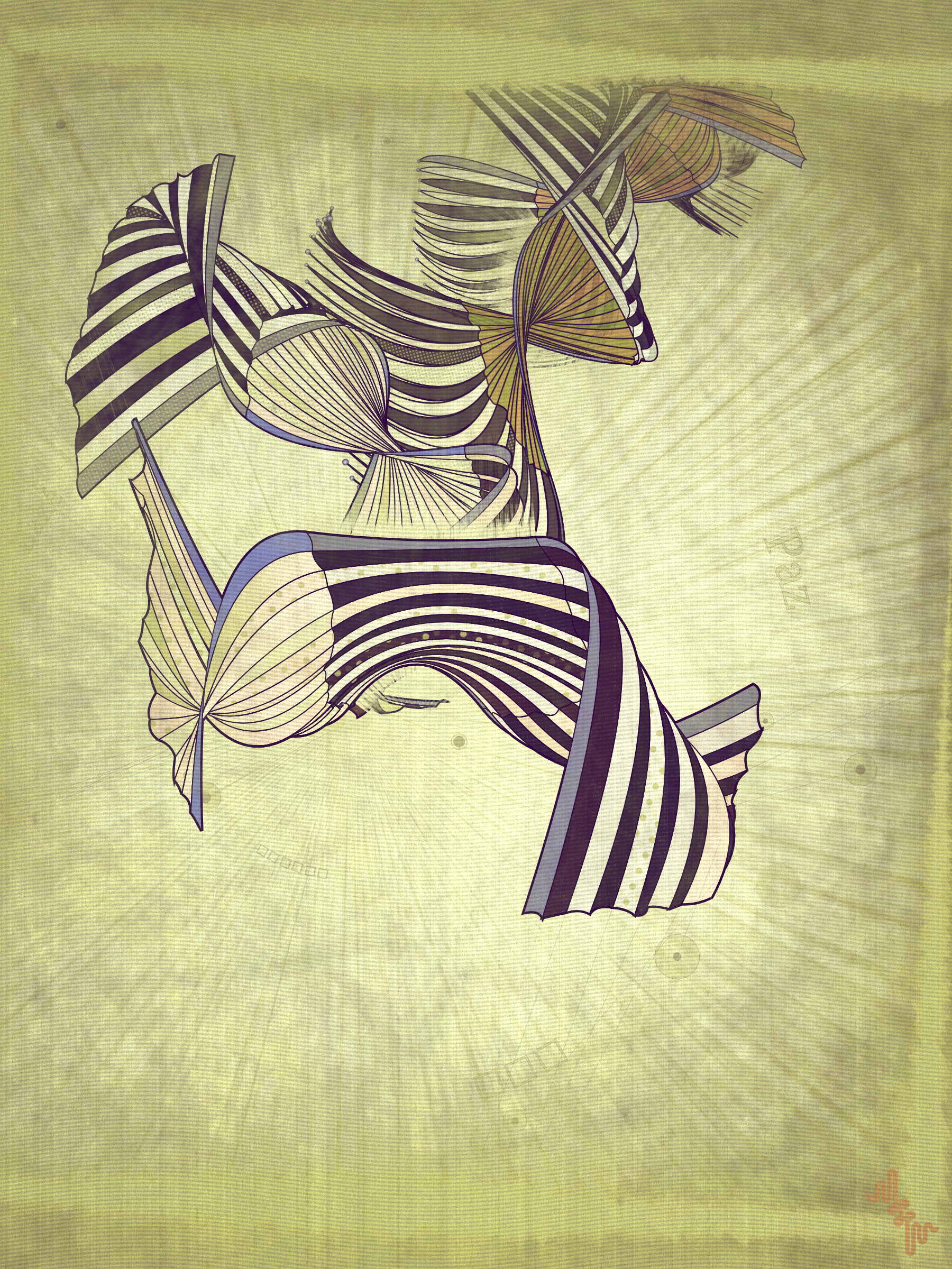 Velum #42
