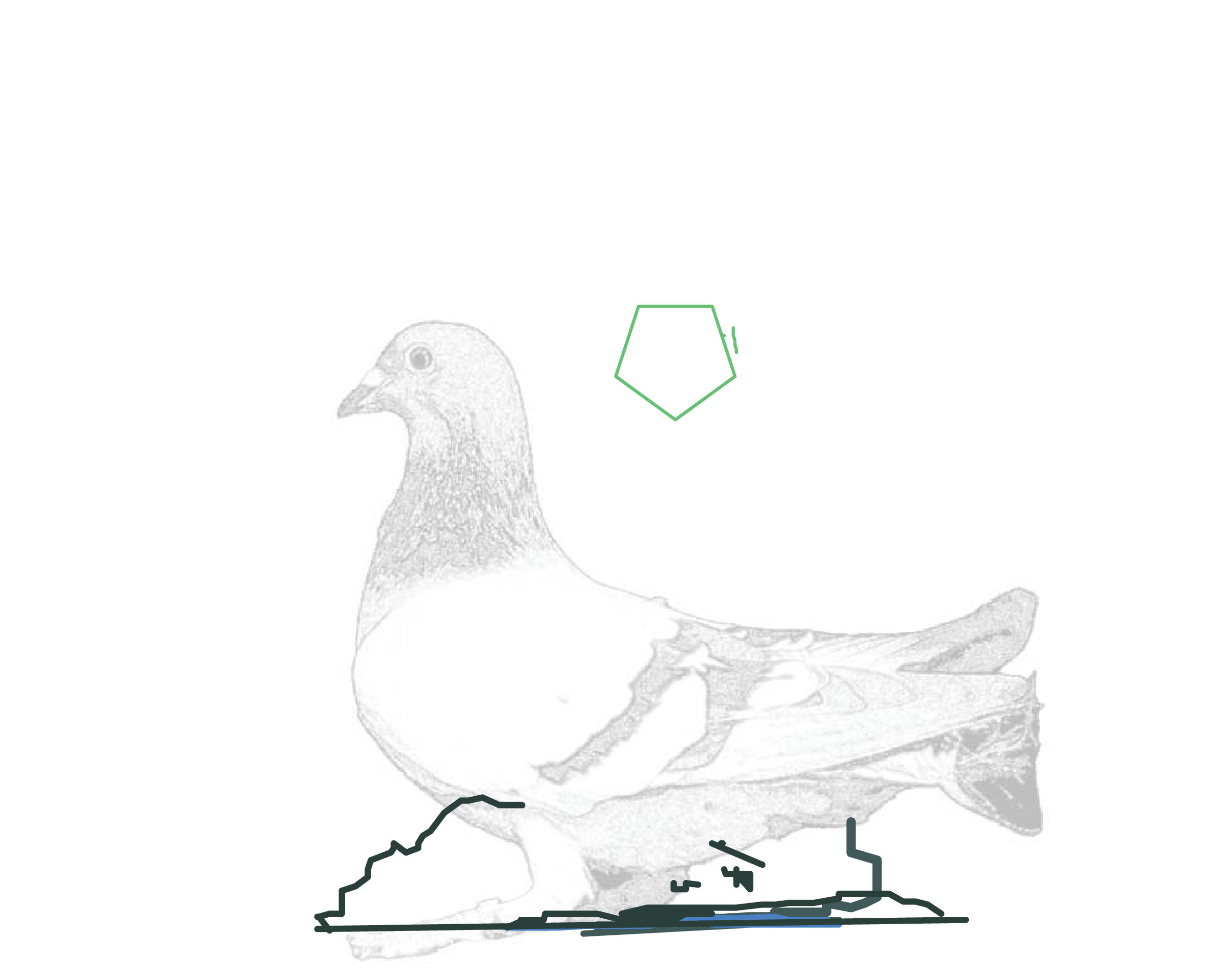 P01.153