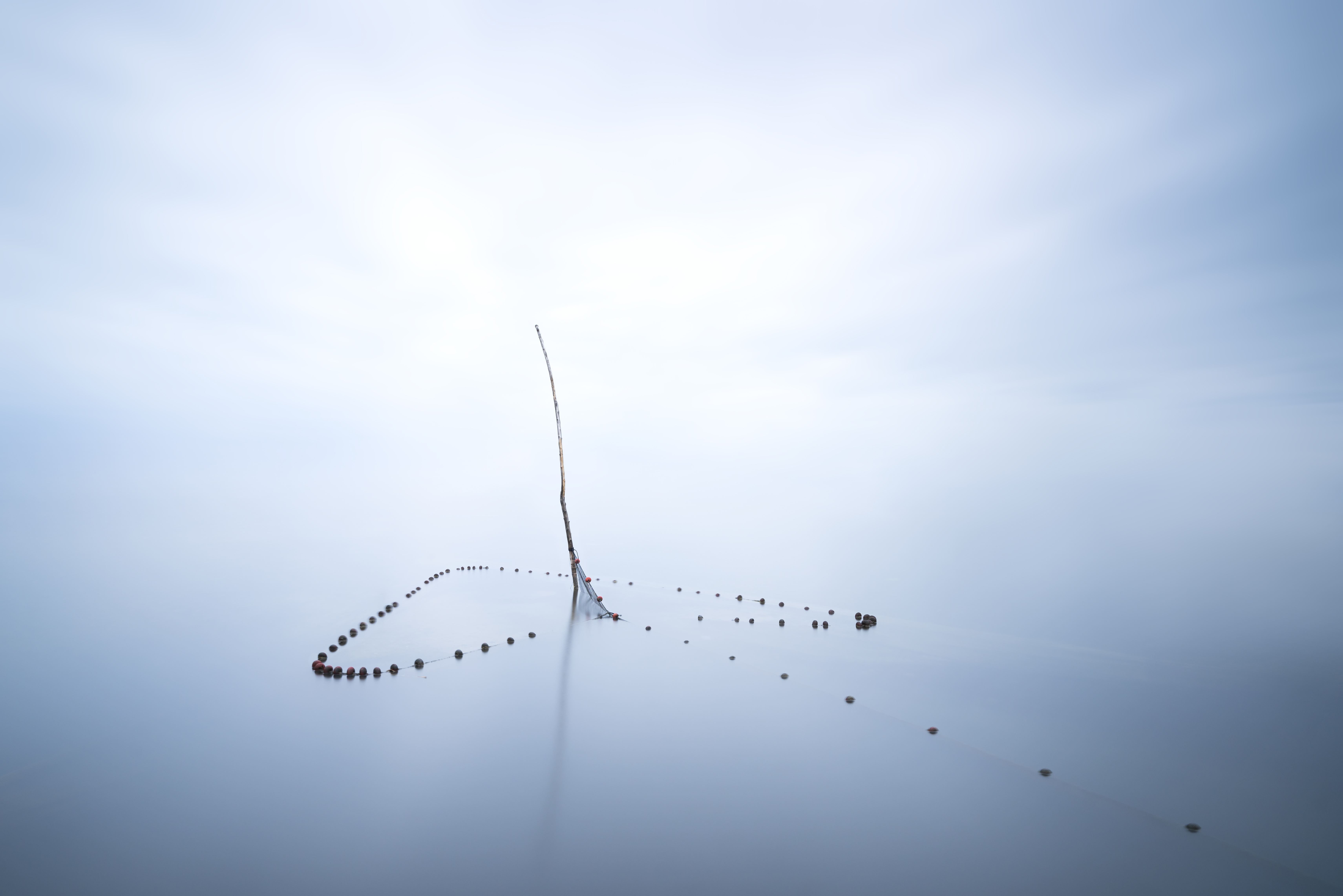 The arrow