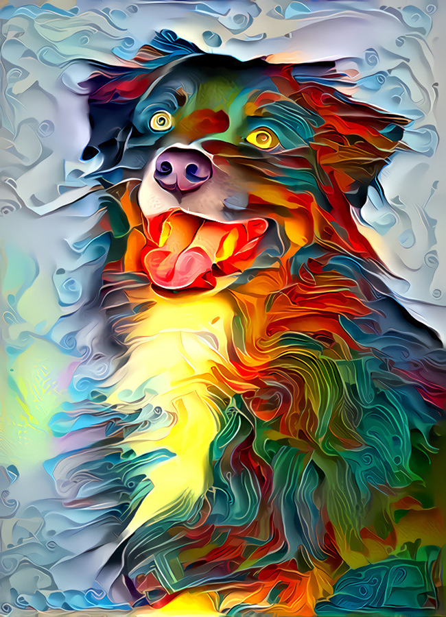 Dog