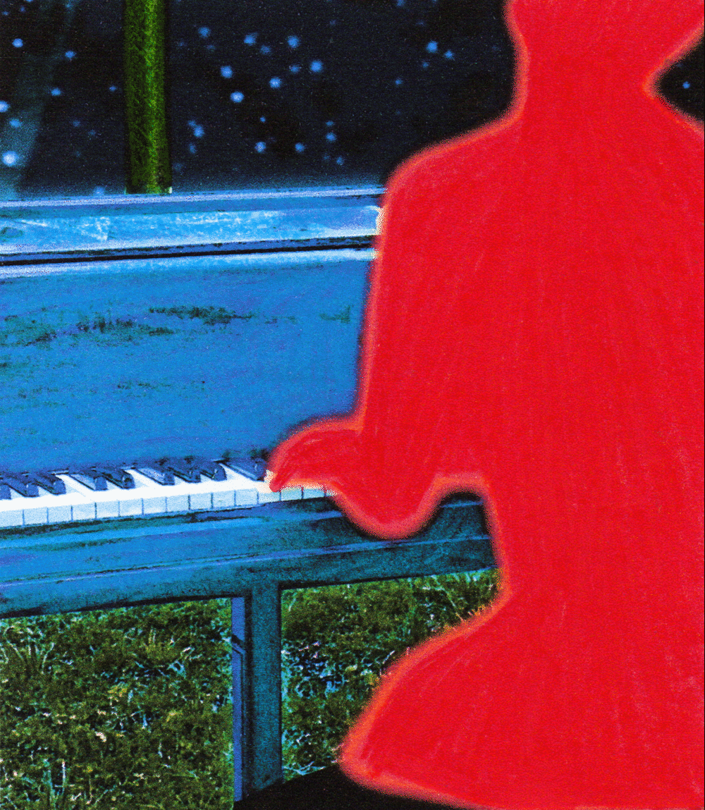 Symphony Of Flowers 