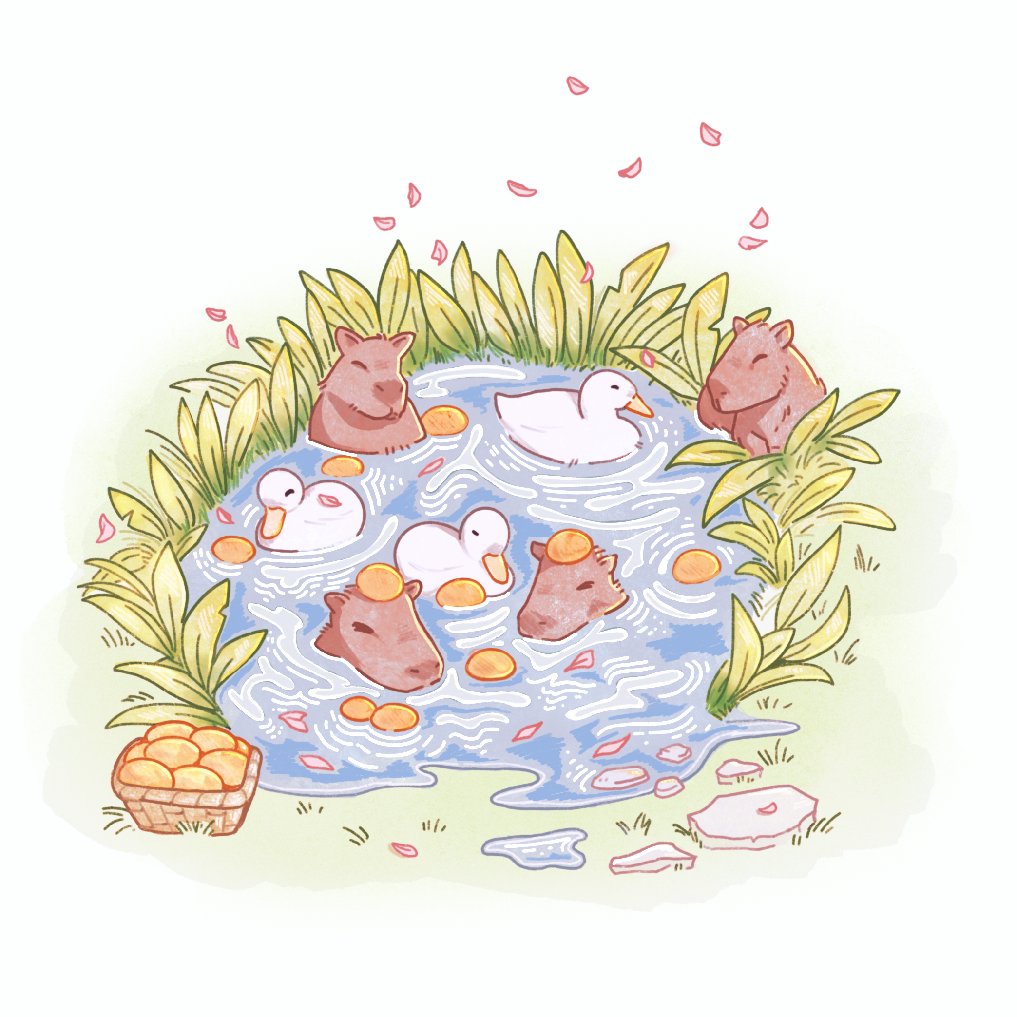 paddles and paws in the pond