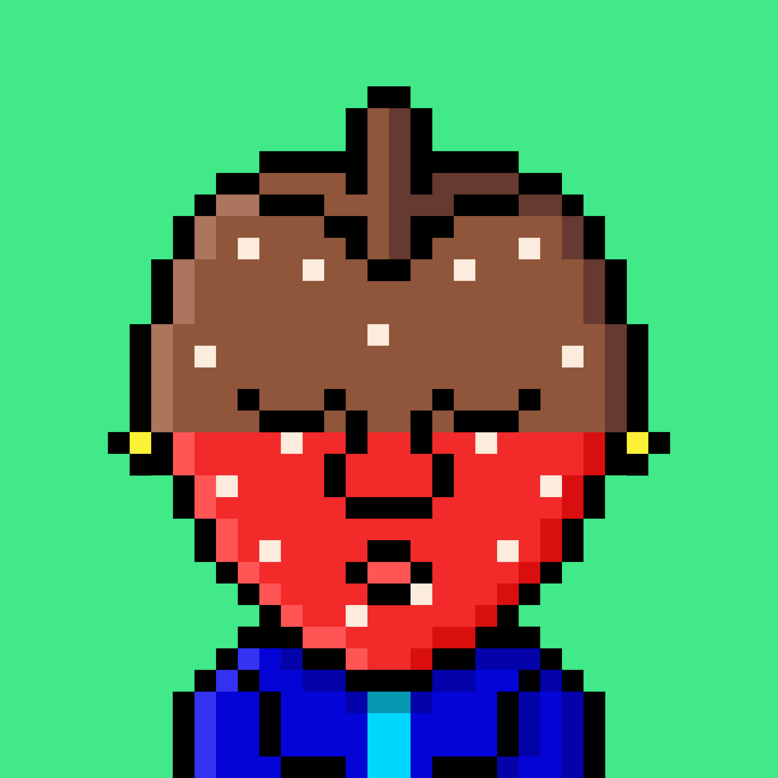 Strawberry #5790