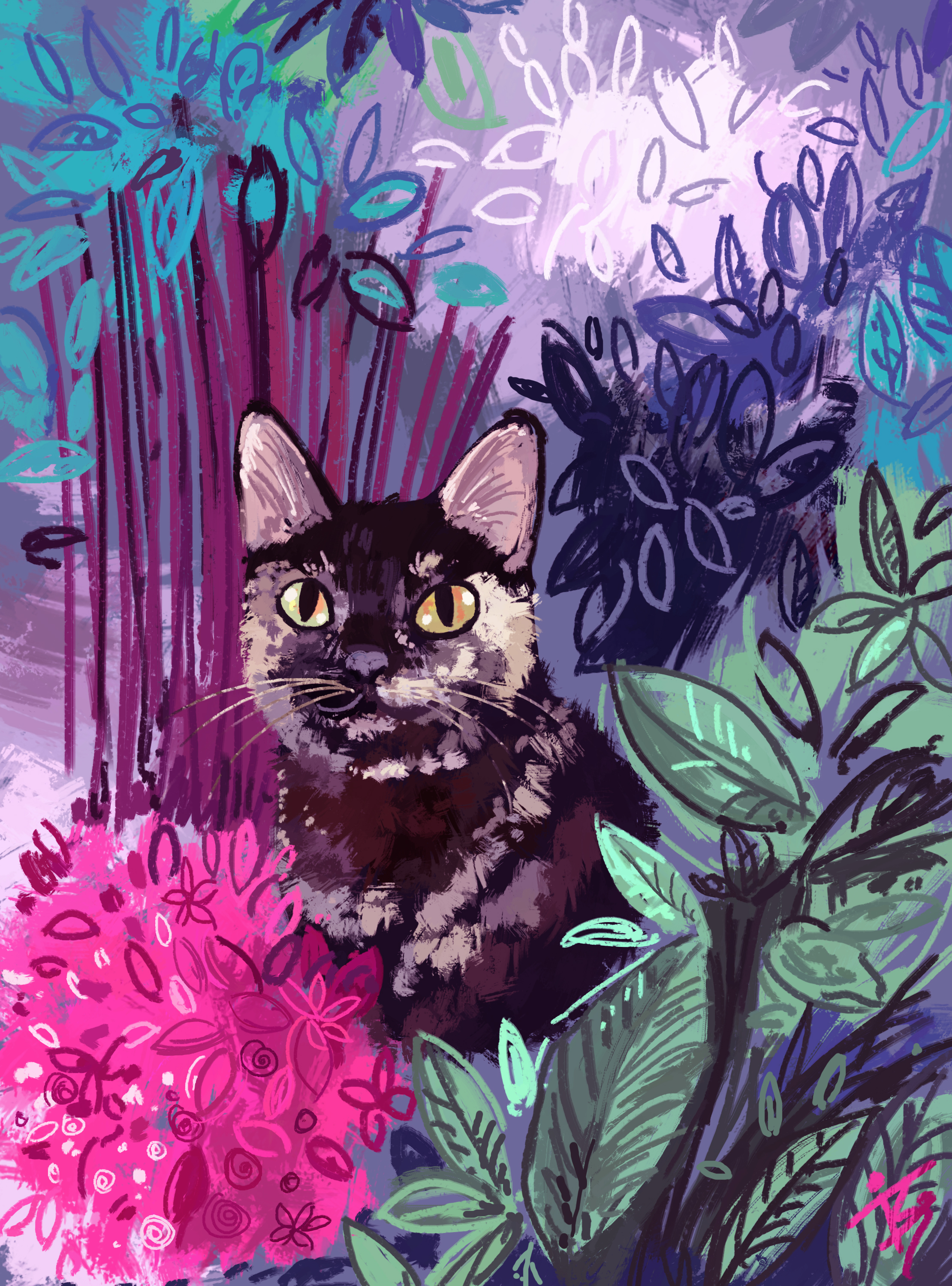 Exploring the Lovely Garden