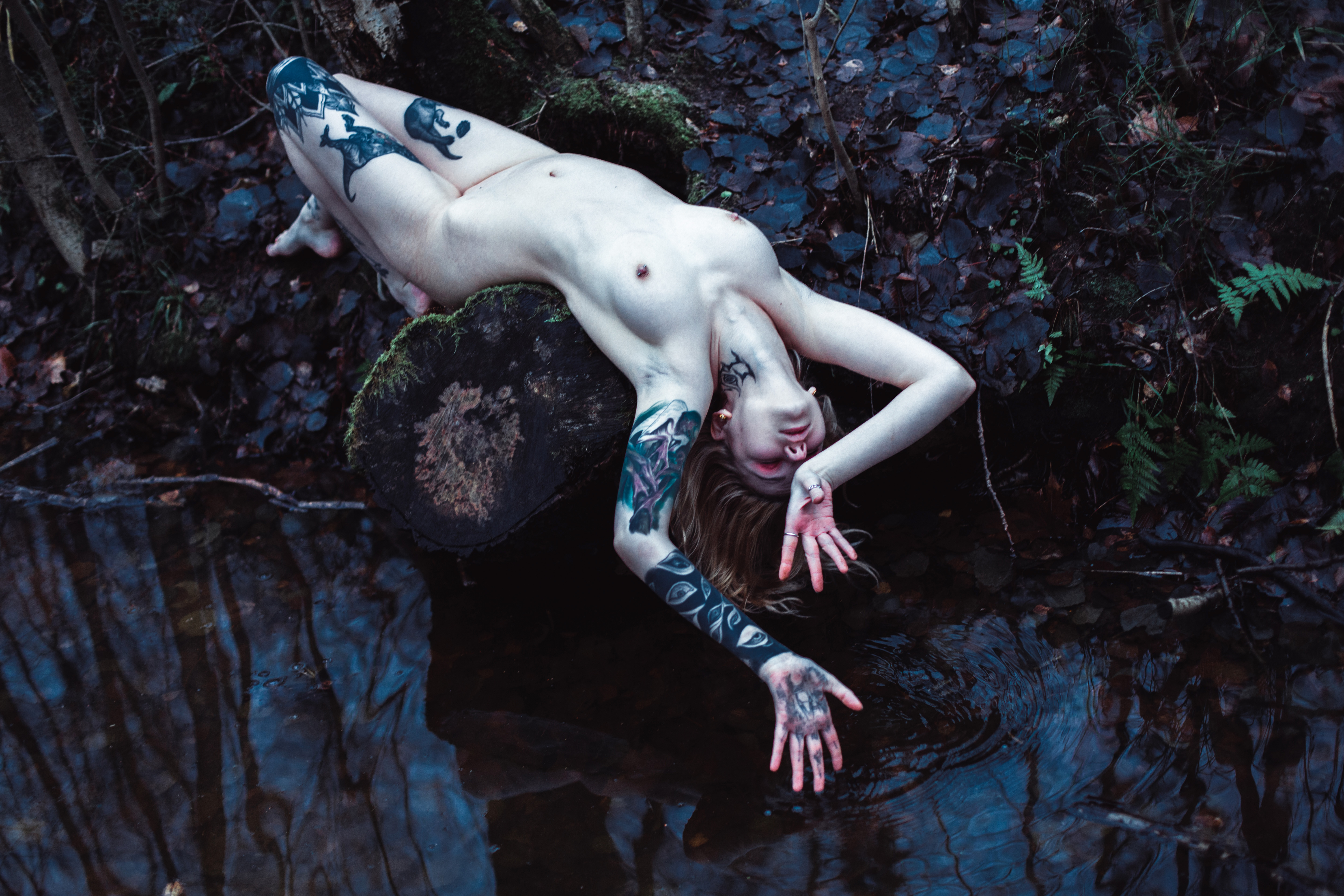Decay