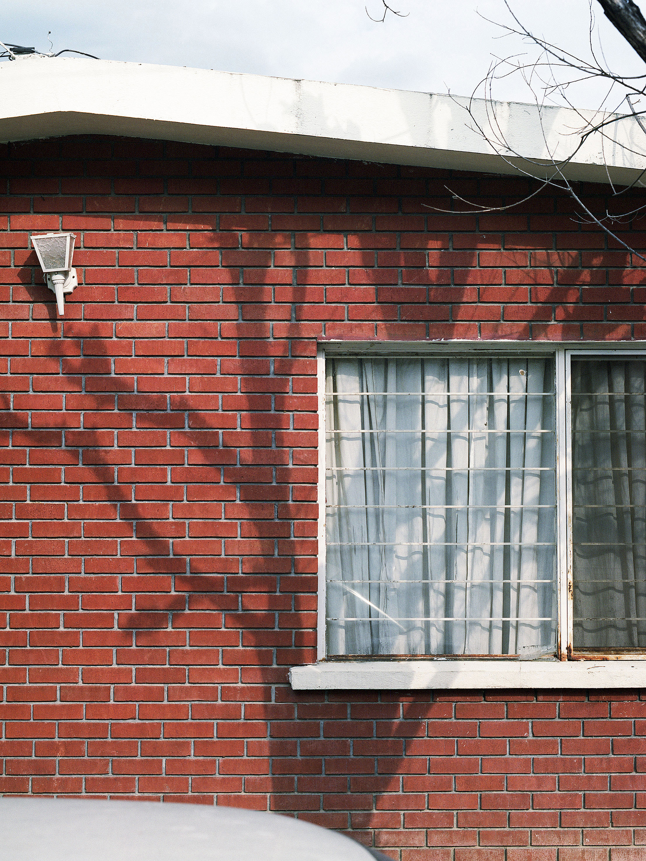 Fernando Gallegos - Some Things Out There 19