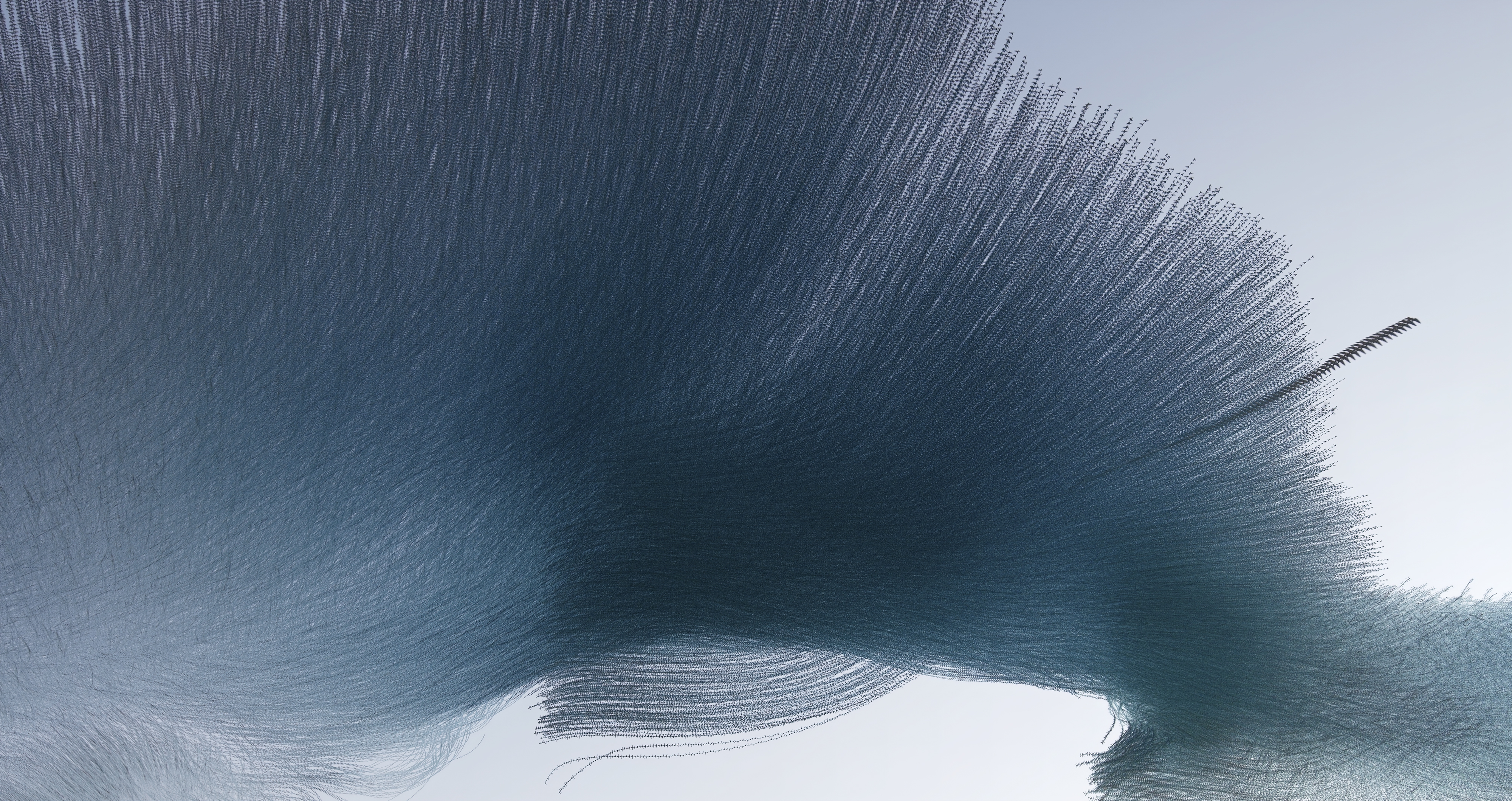 Ornithography #227
