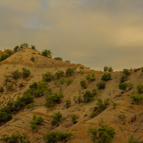 Whispers of the Dry Hills