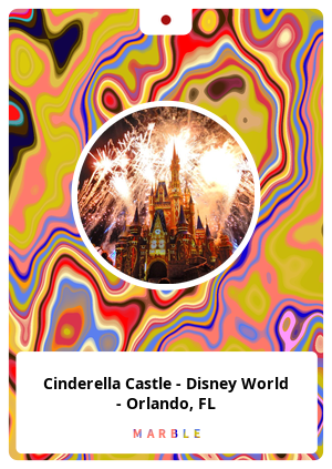 Cinderella Castle - Disney World - Orlando, FL