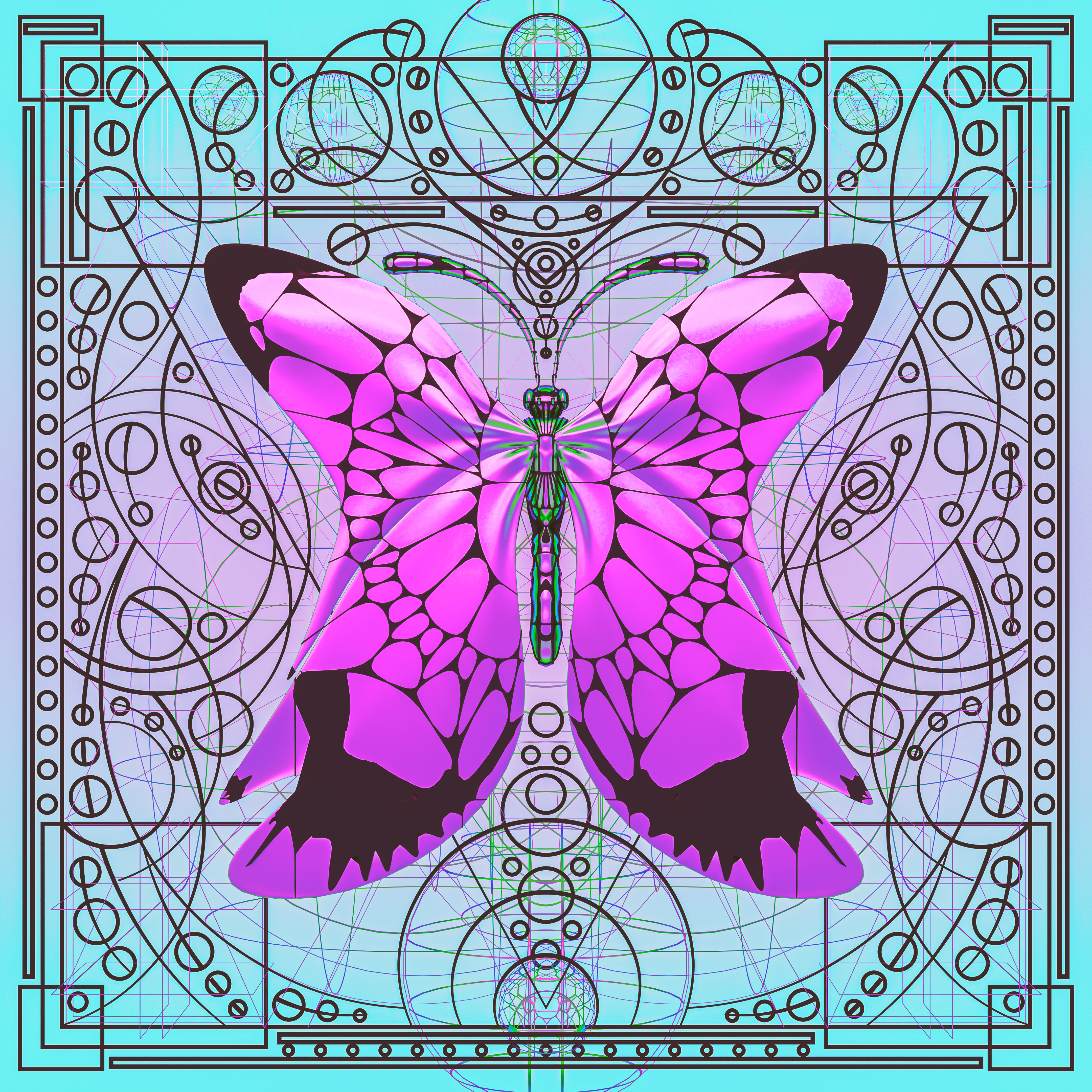 Butterfly
