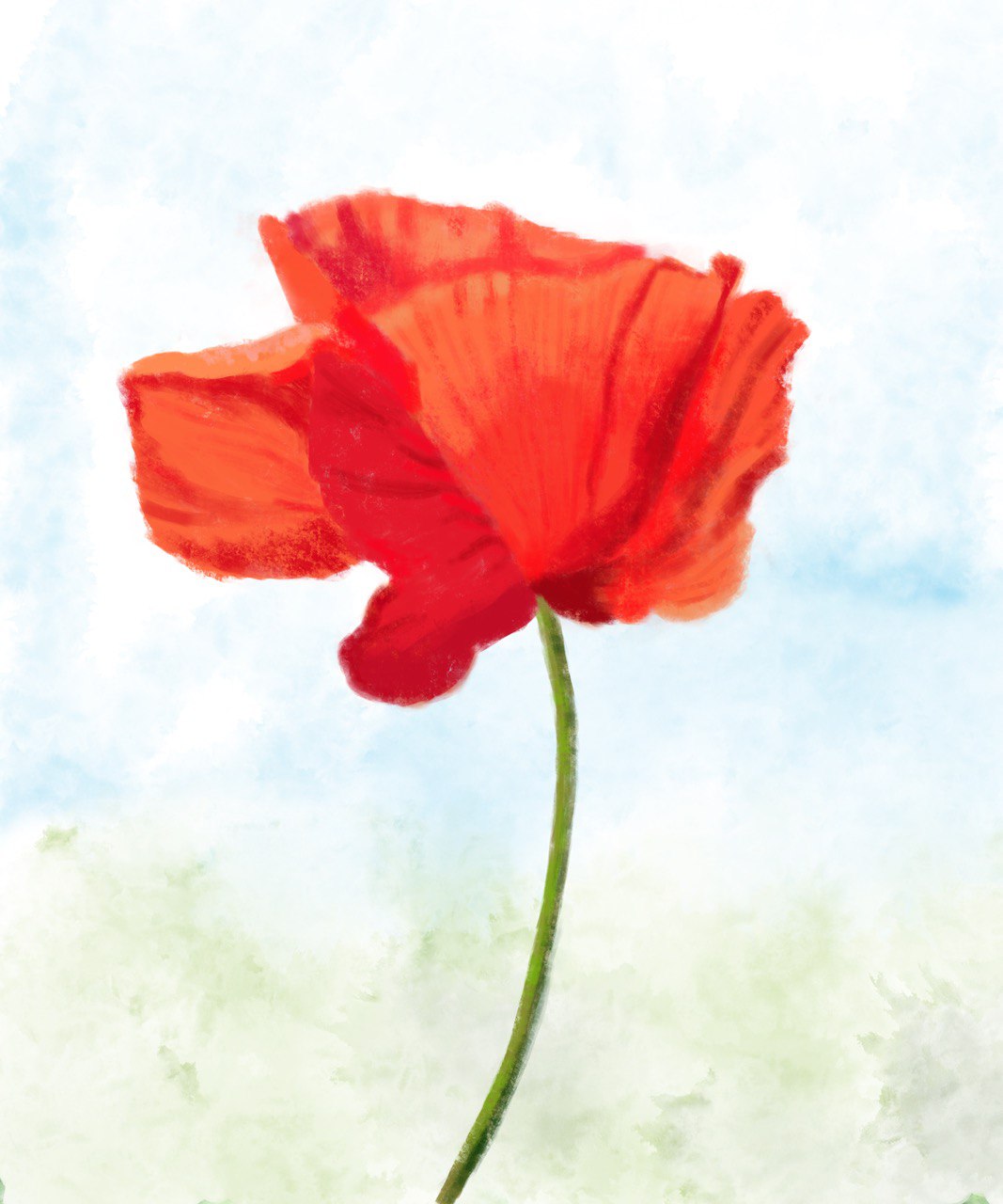 Poppy