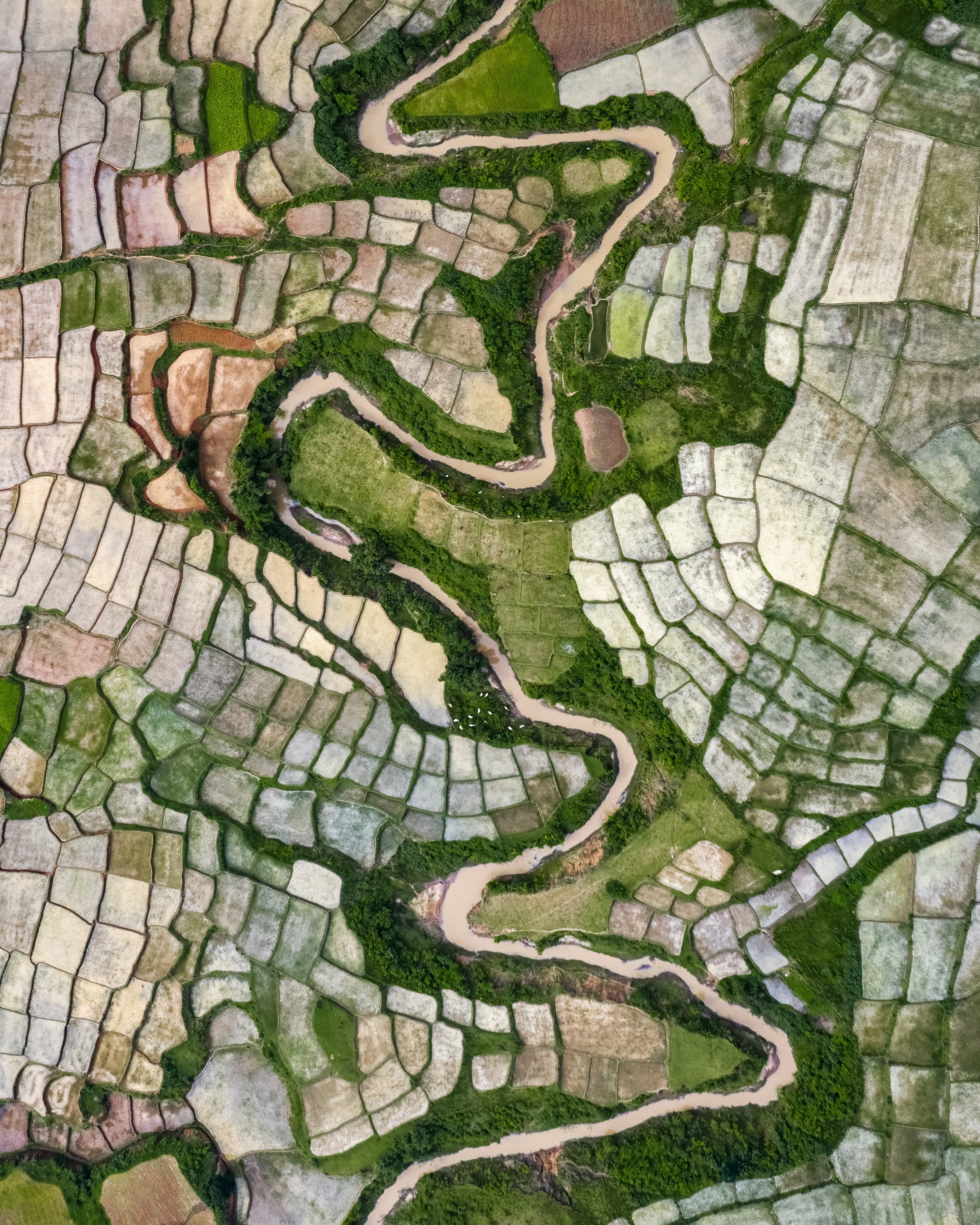 Montage from Above #7/29