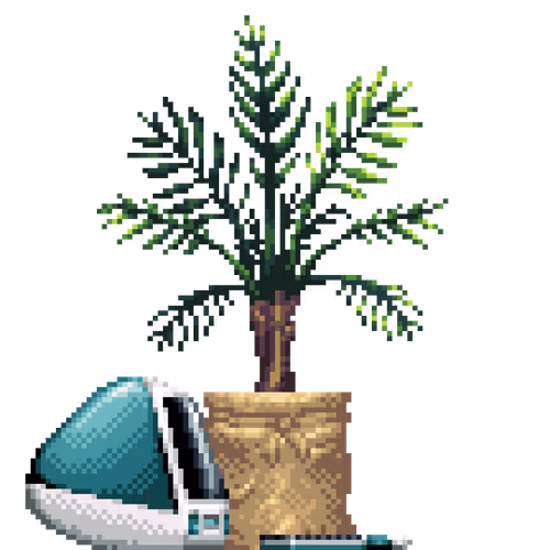Areca Palm in Burlap Sack pot with iMac