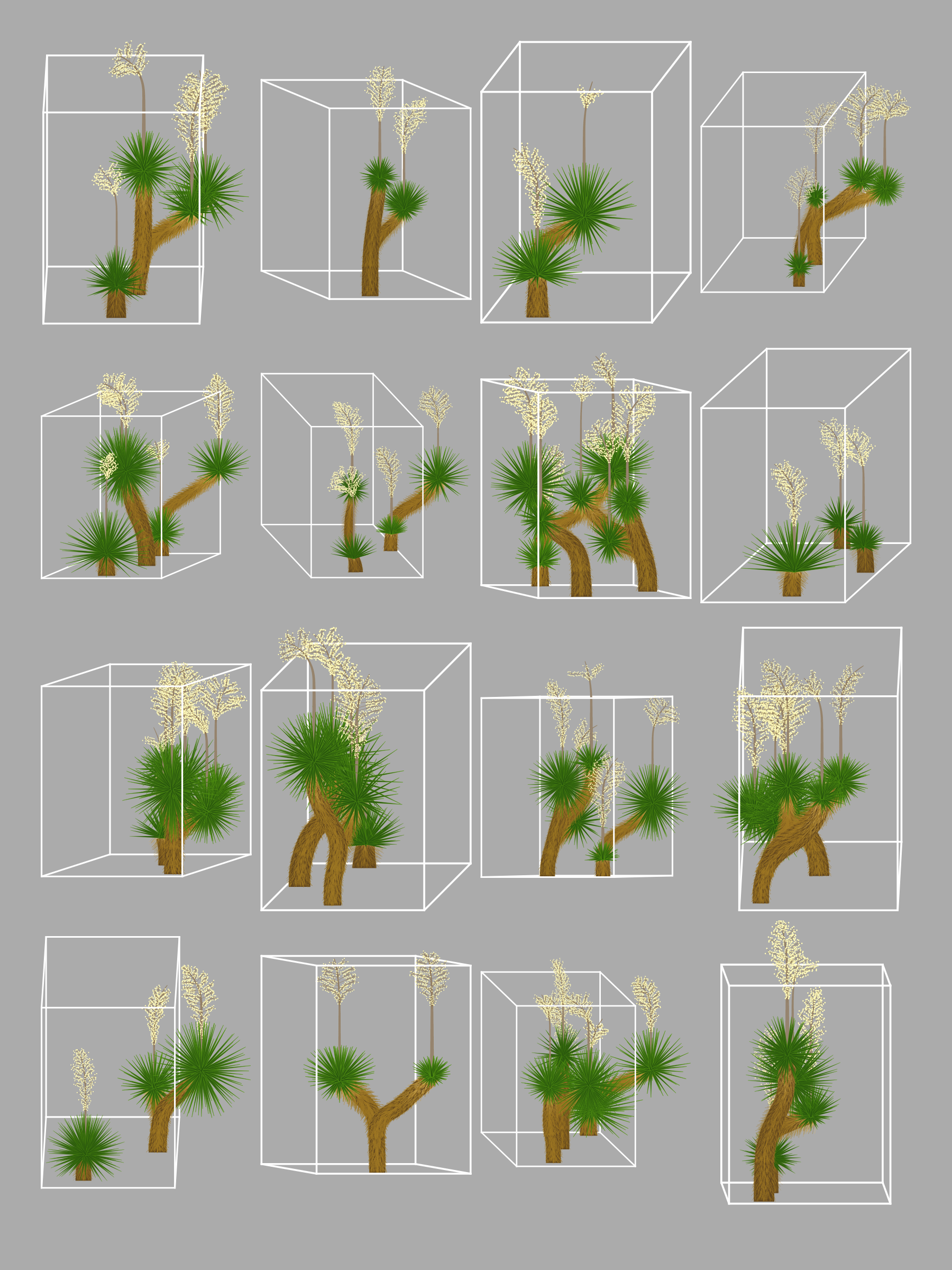 Marfa Yucca #142