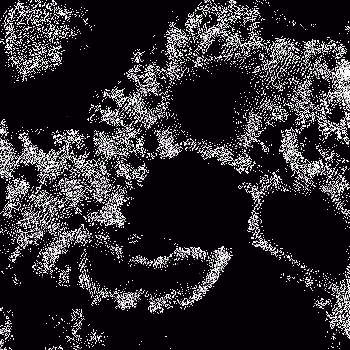 Noise #562 