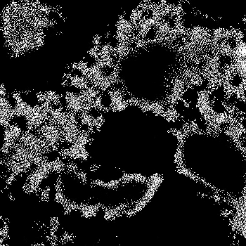 Noise #562 