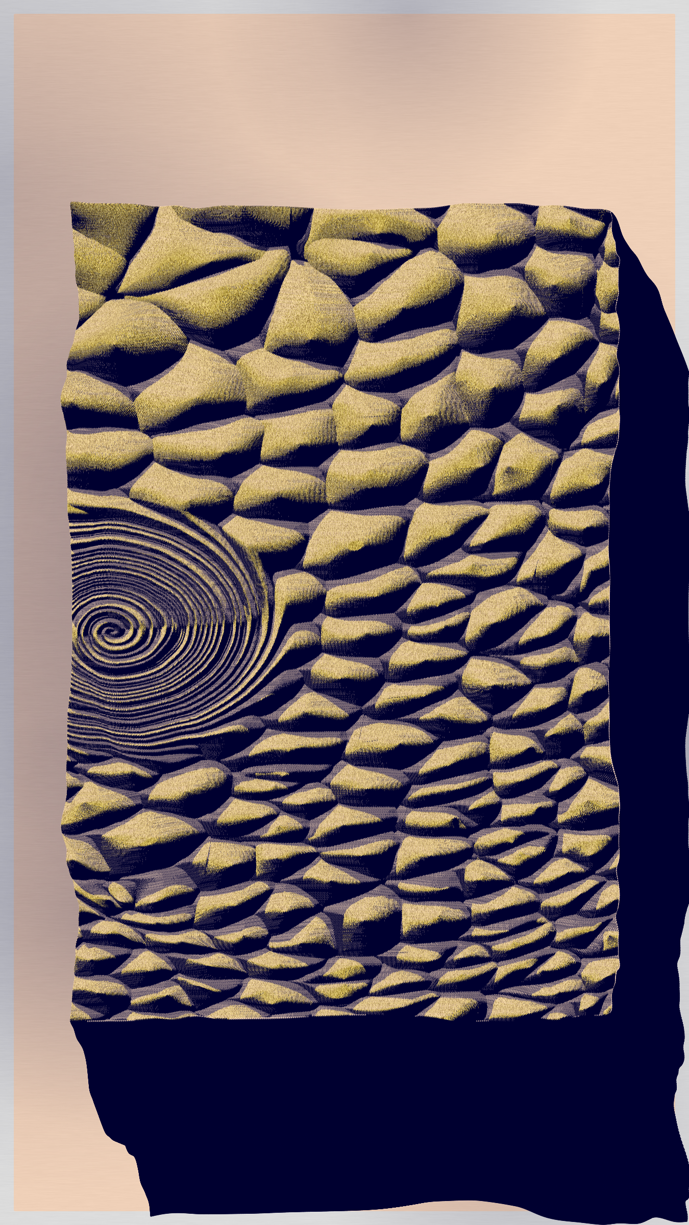 Petrography Case #107