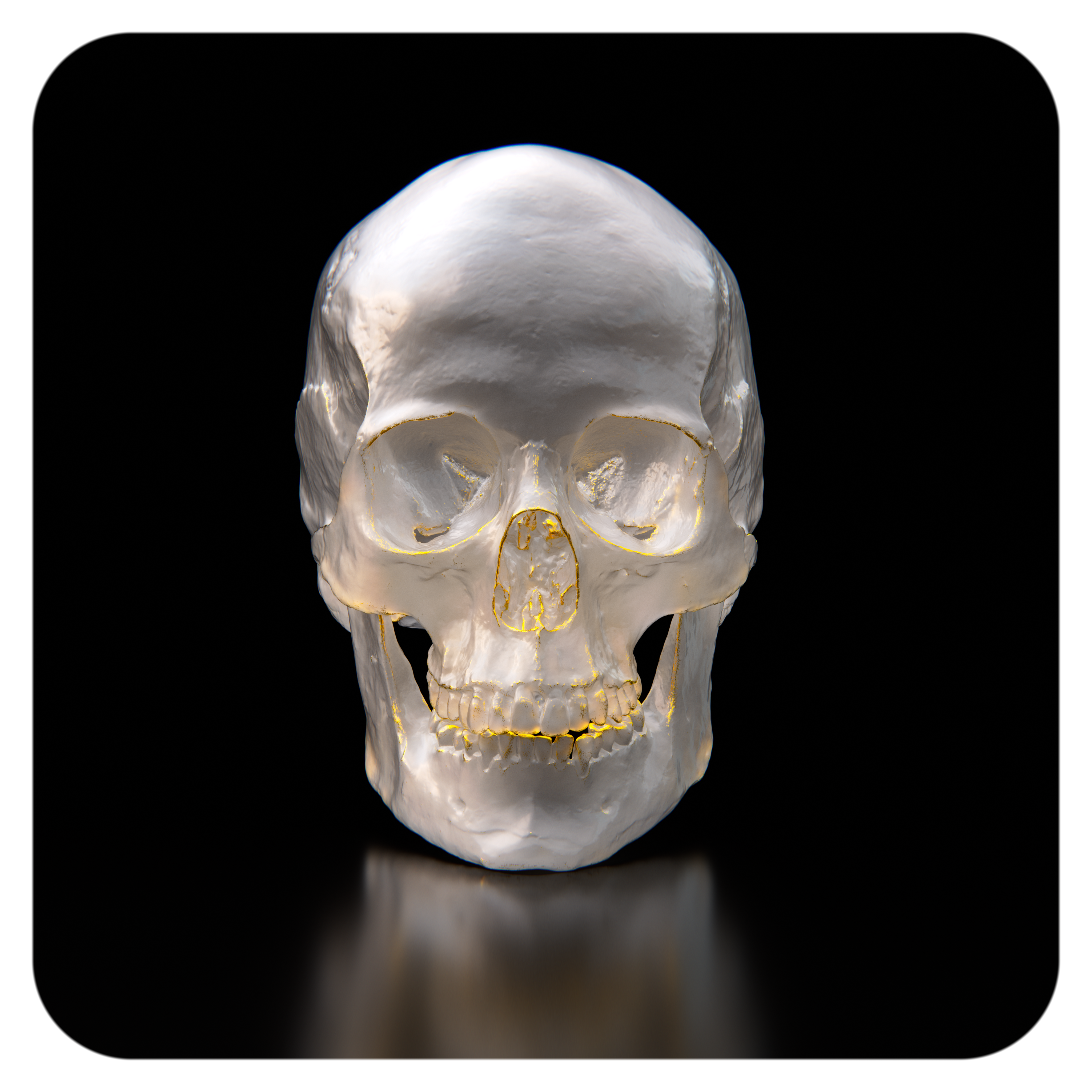 THE SECOND SKULL