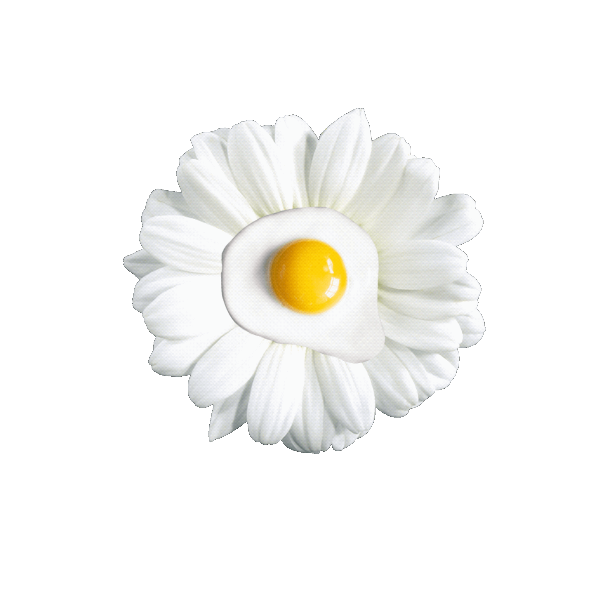 Origin Flower 