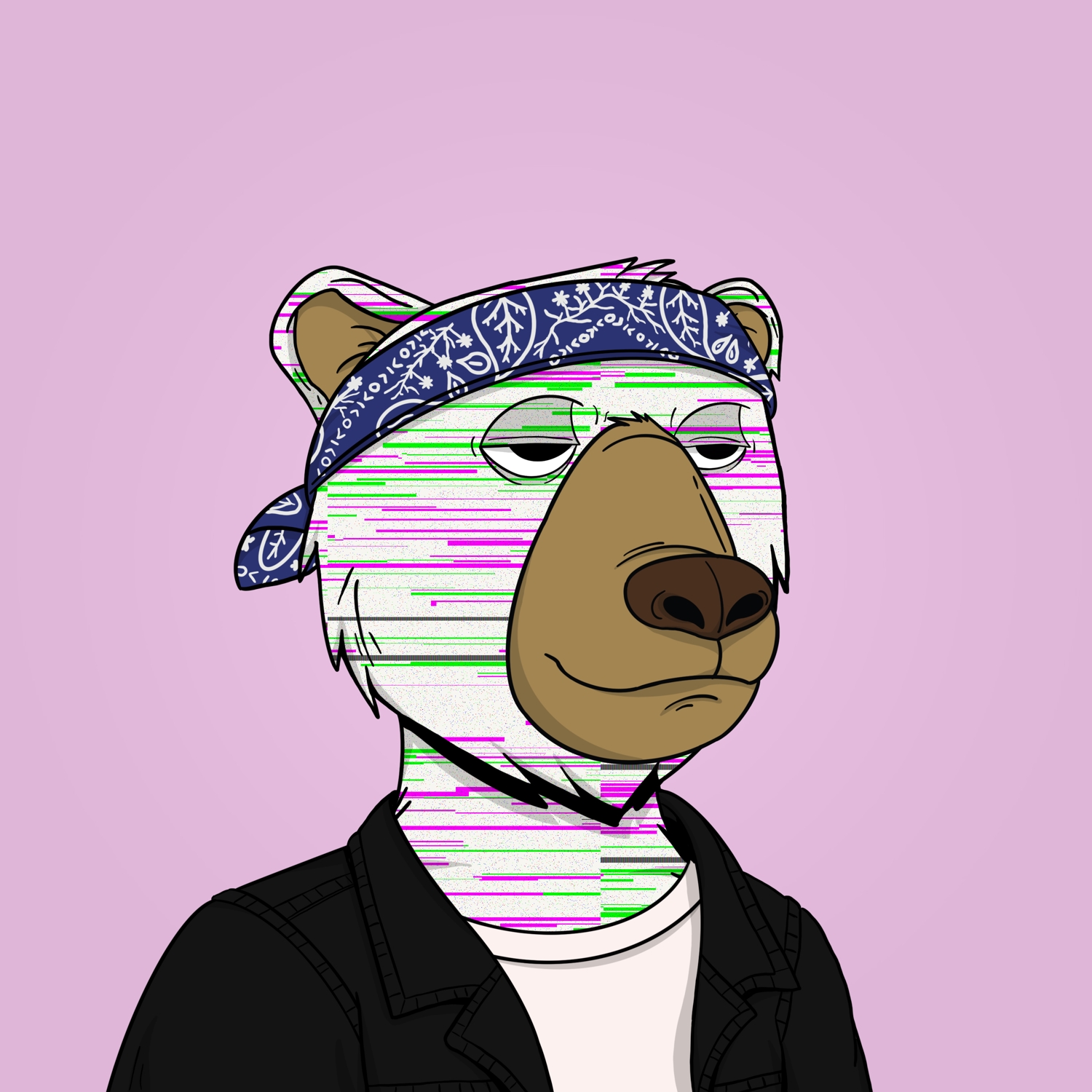 AES Bear #156