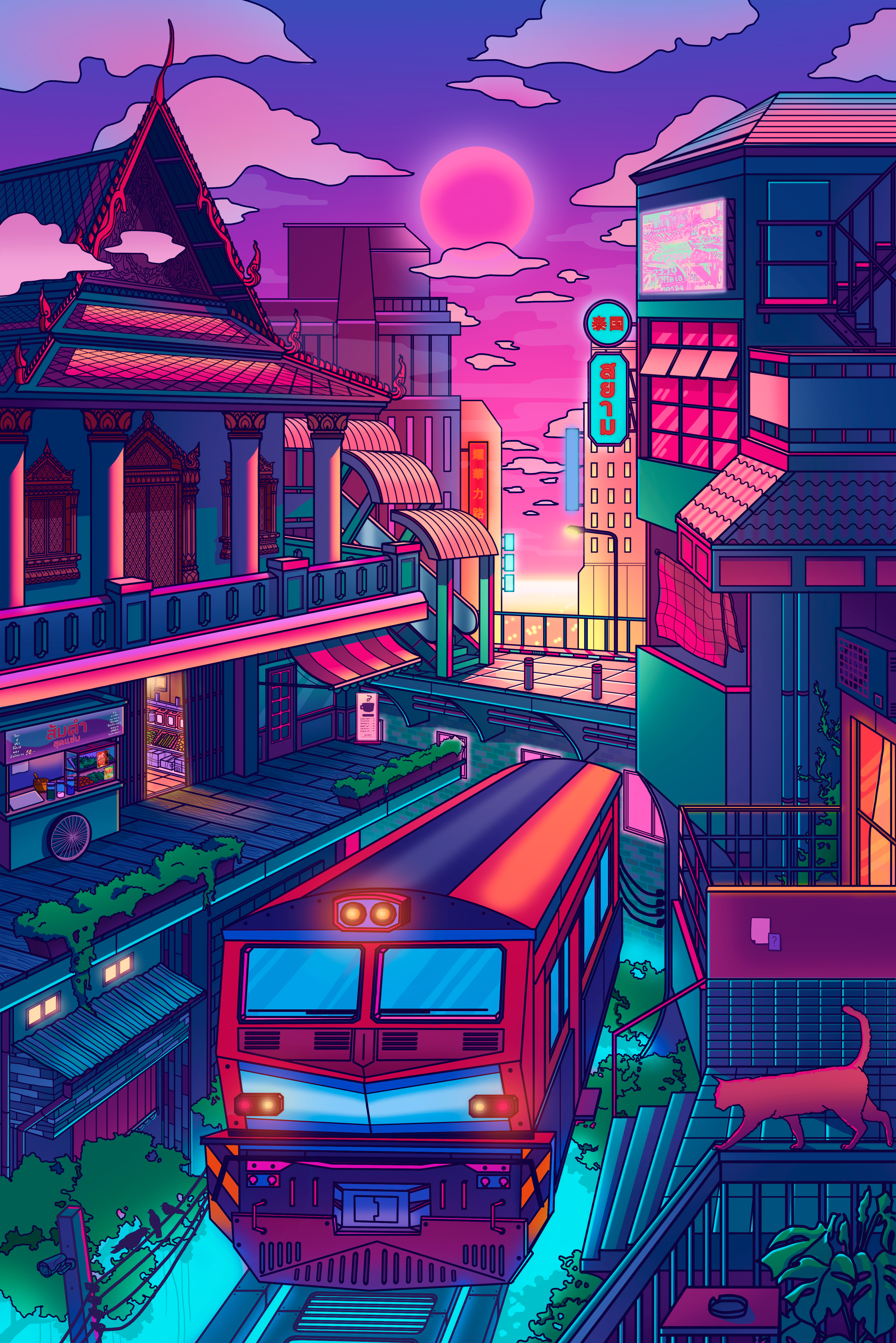 5.00PM_000