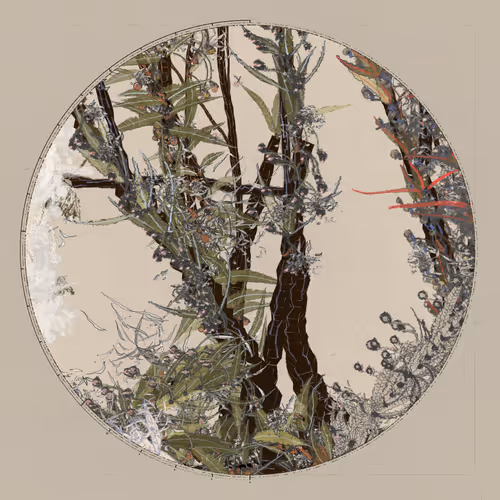Polypaths | 植徑集 #151