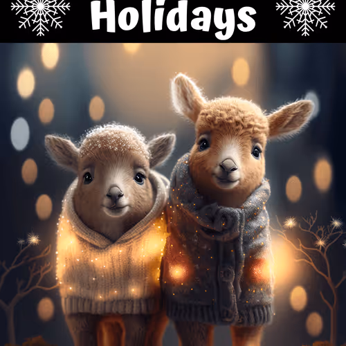 Happy Holidays 2022