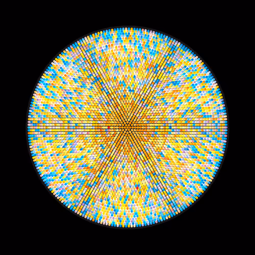 Transitions #1188