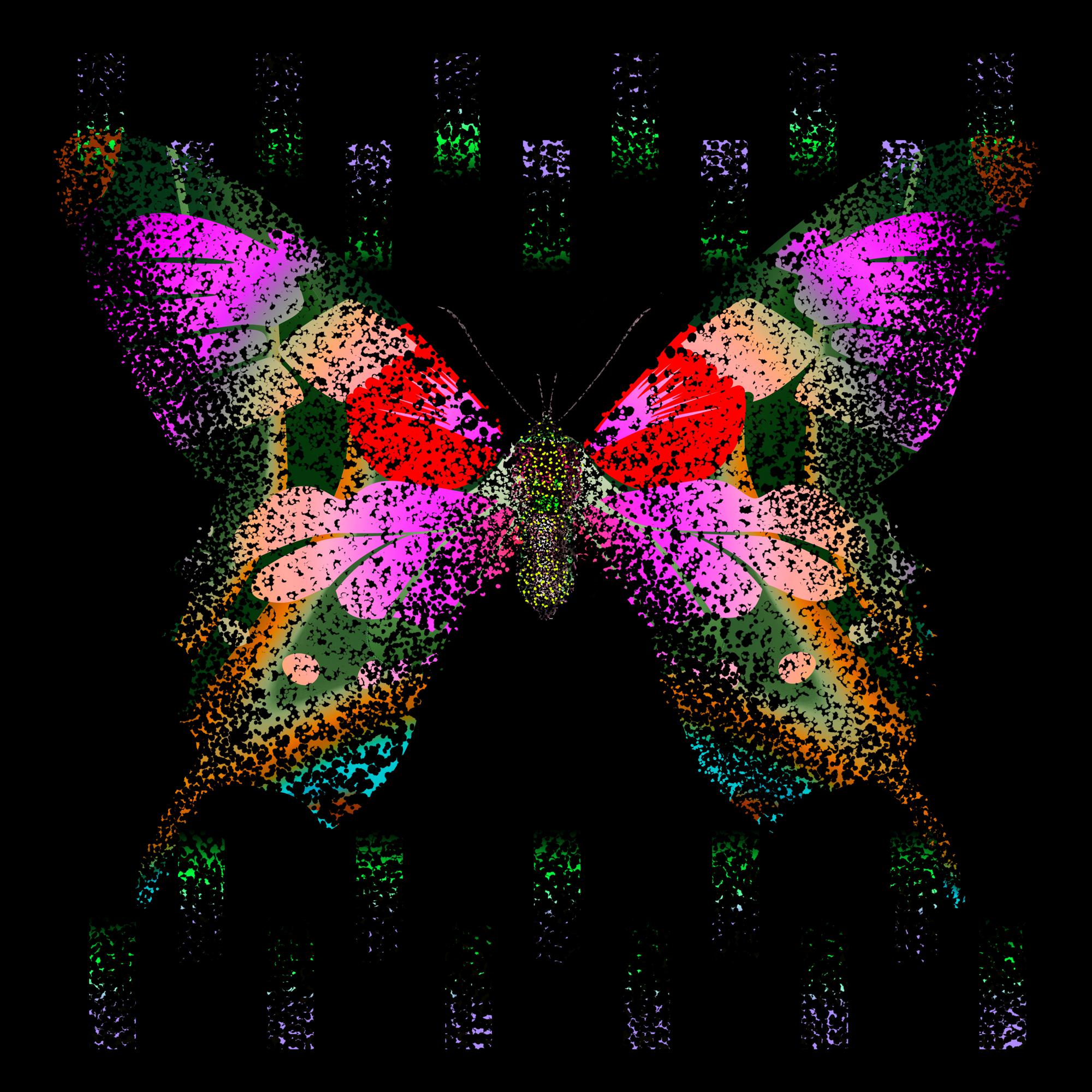 Monarch #404