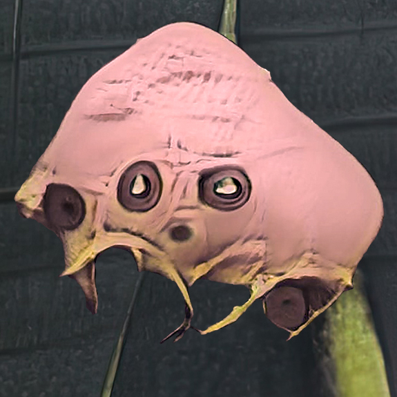 Small Bug