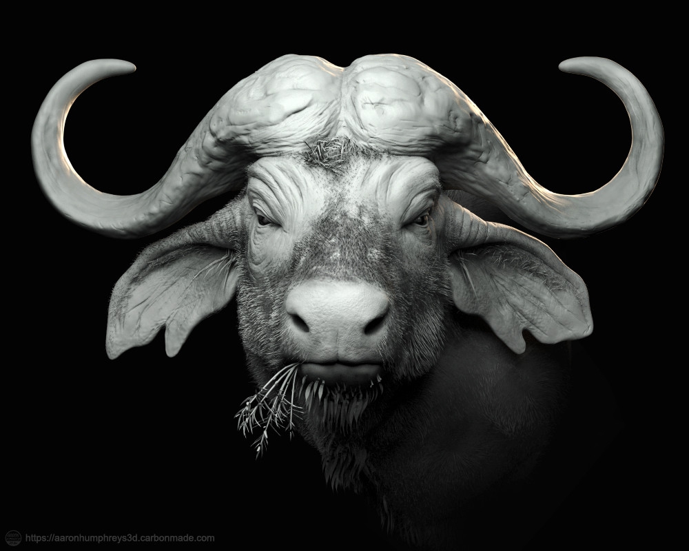 Wildlife Portrait