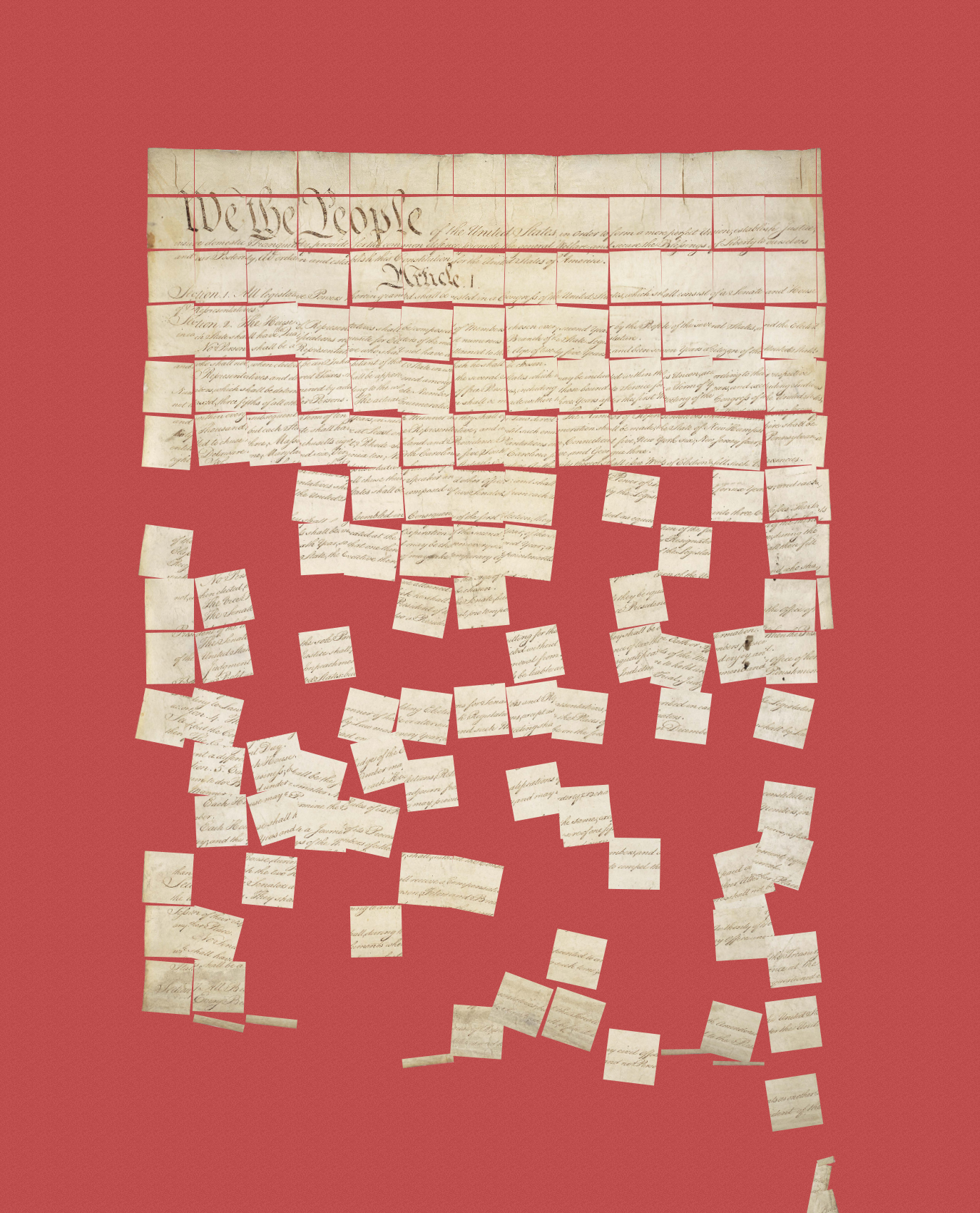 Constitution Fractionalized #53